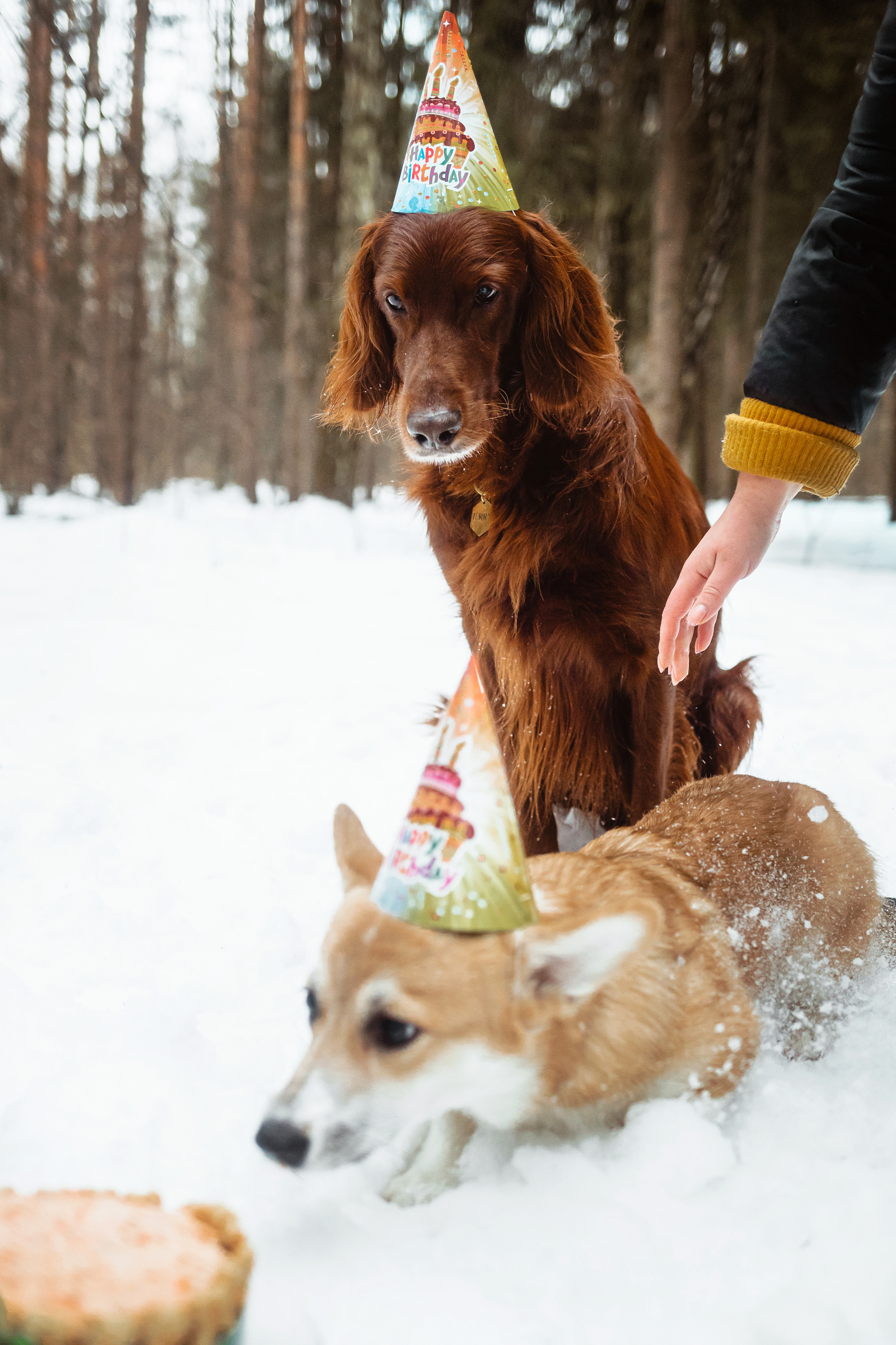 День Рождения Джерри