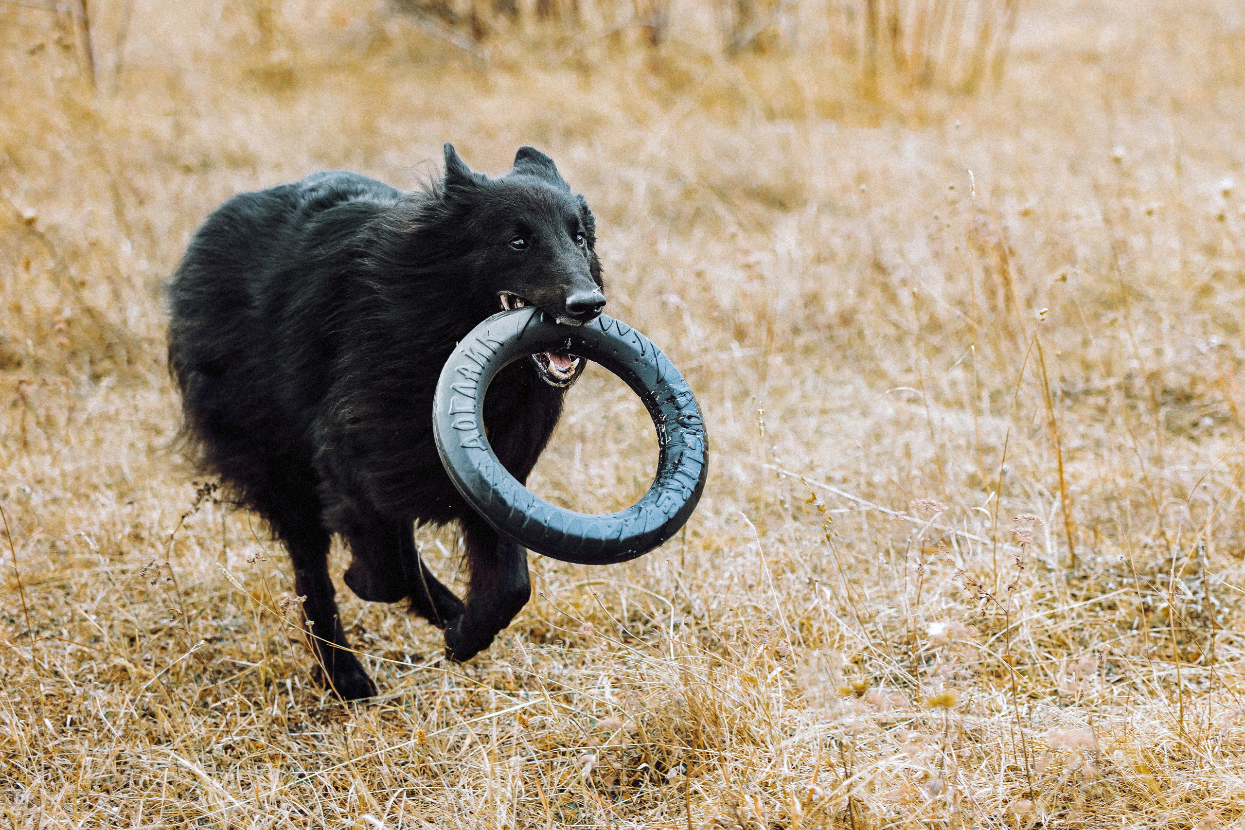 Йаррхи, Антар и их семья