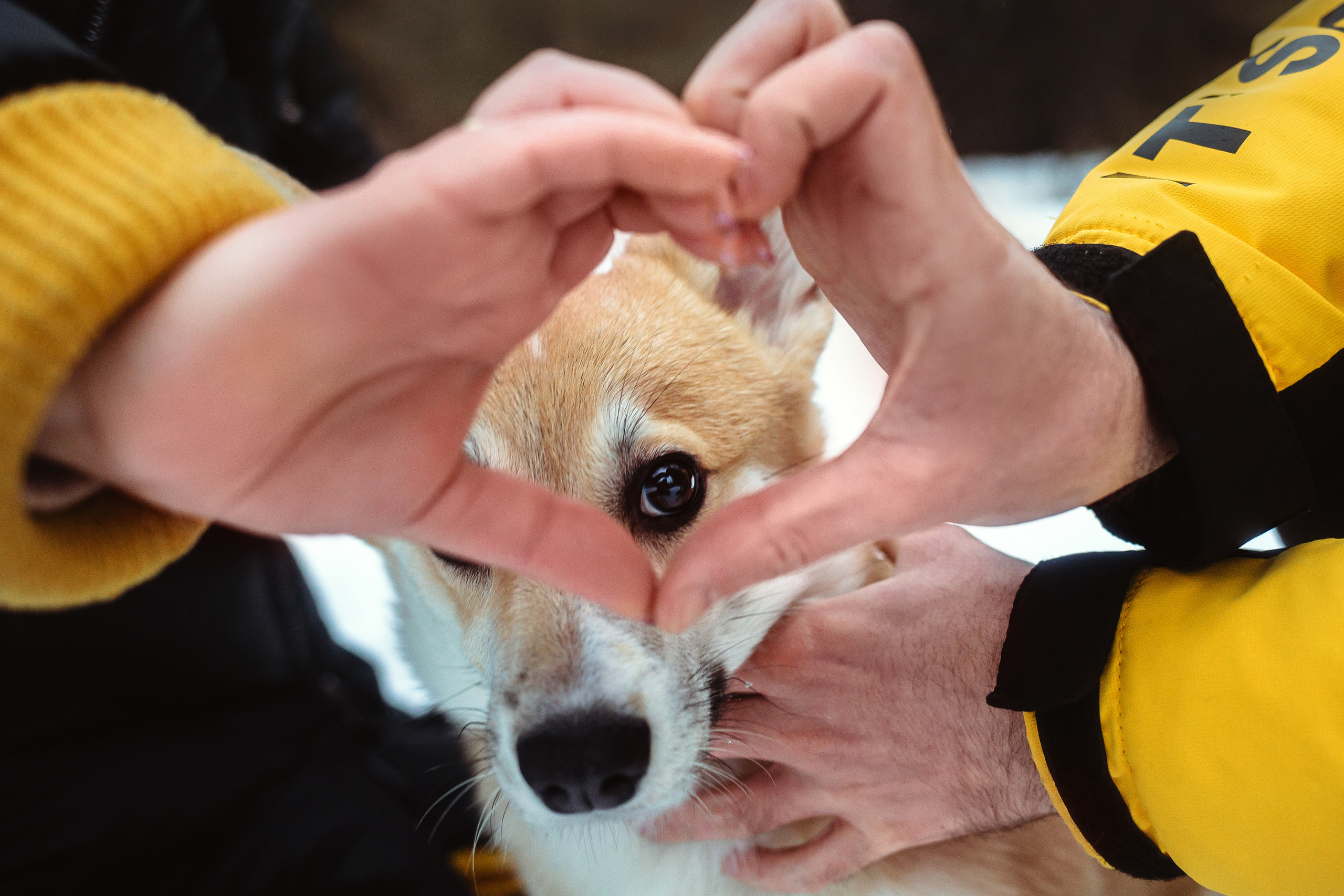 День Рождения Джерри