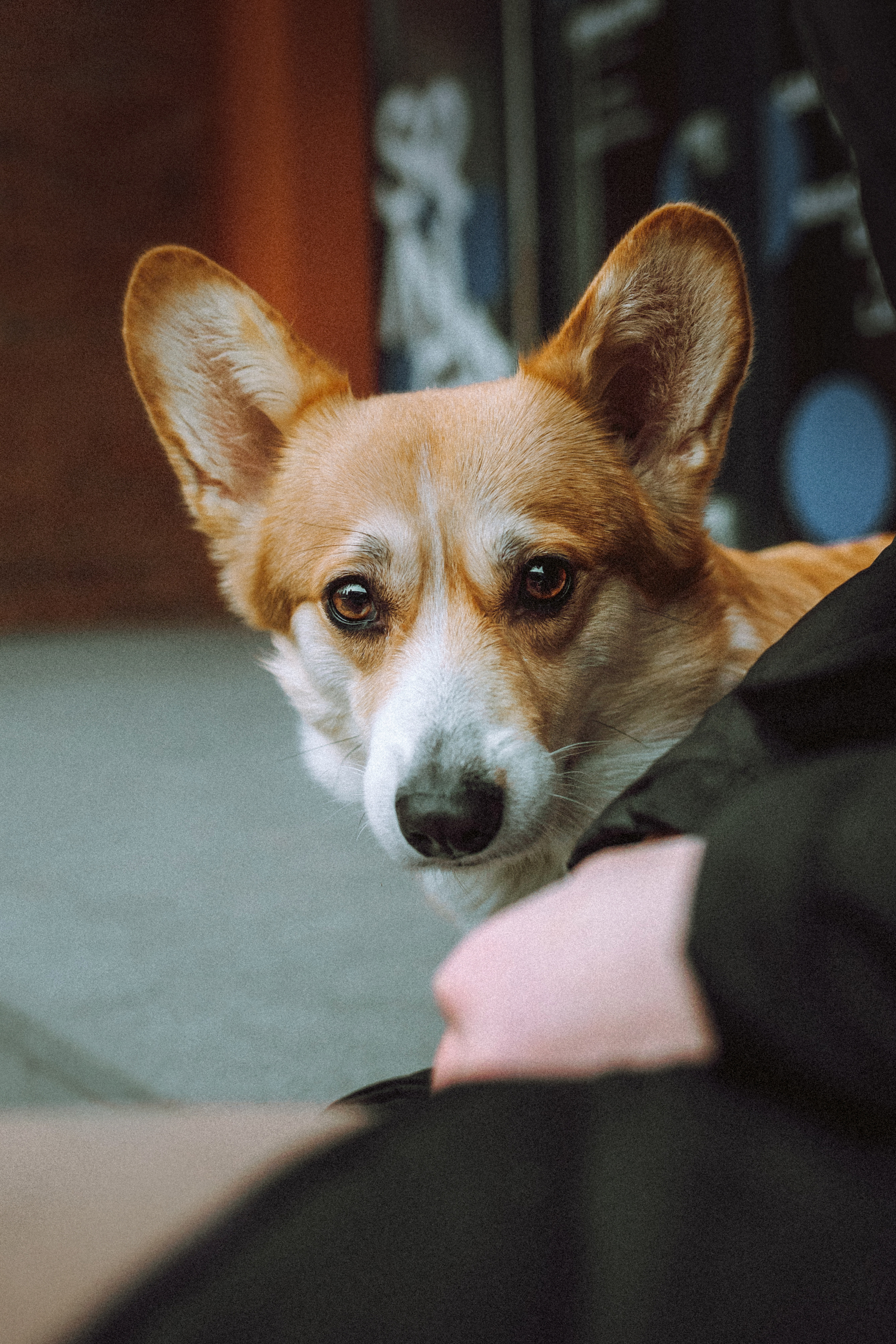 Настя и Ева