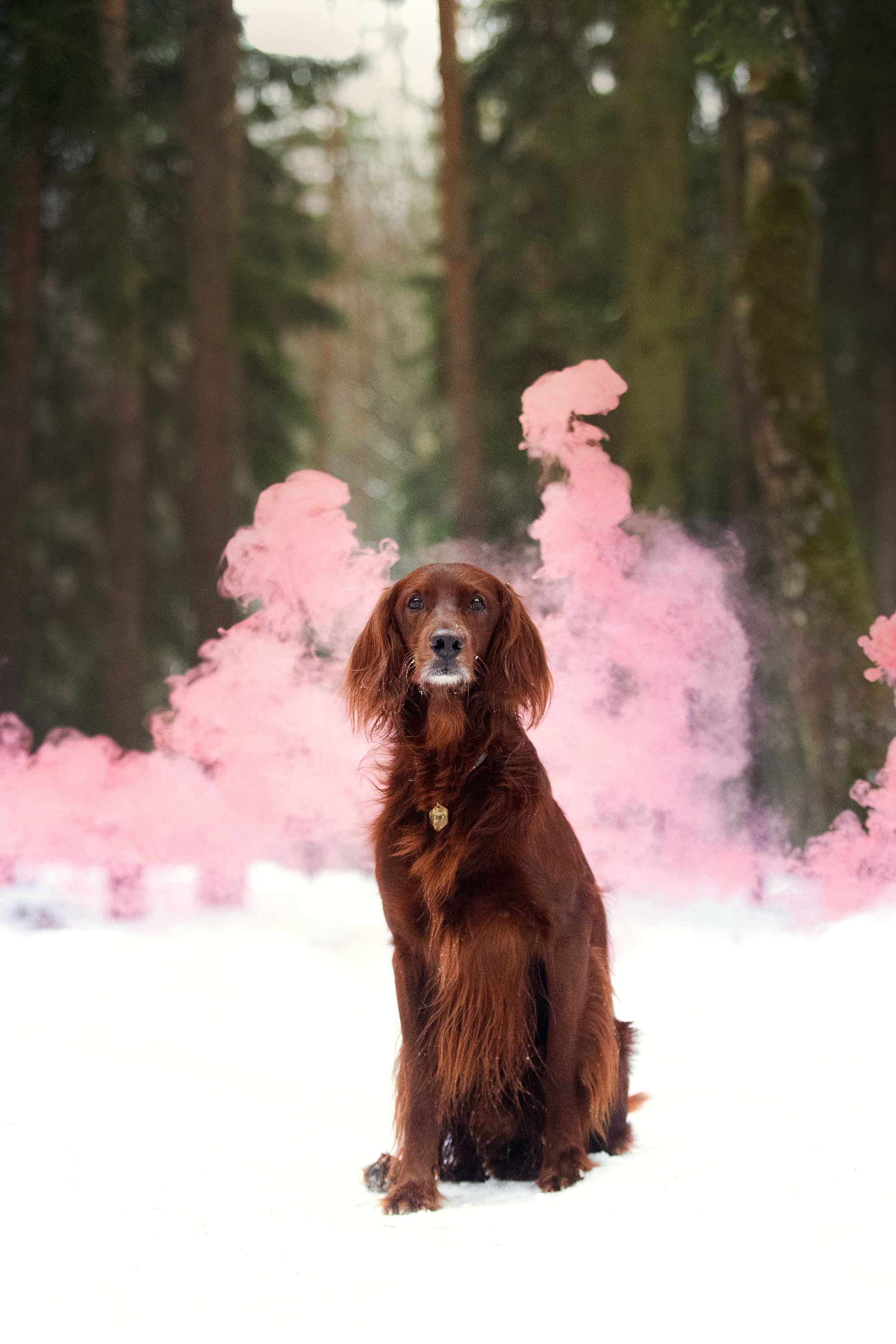 День Рождения Джерри