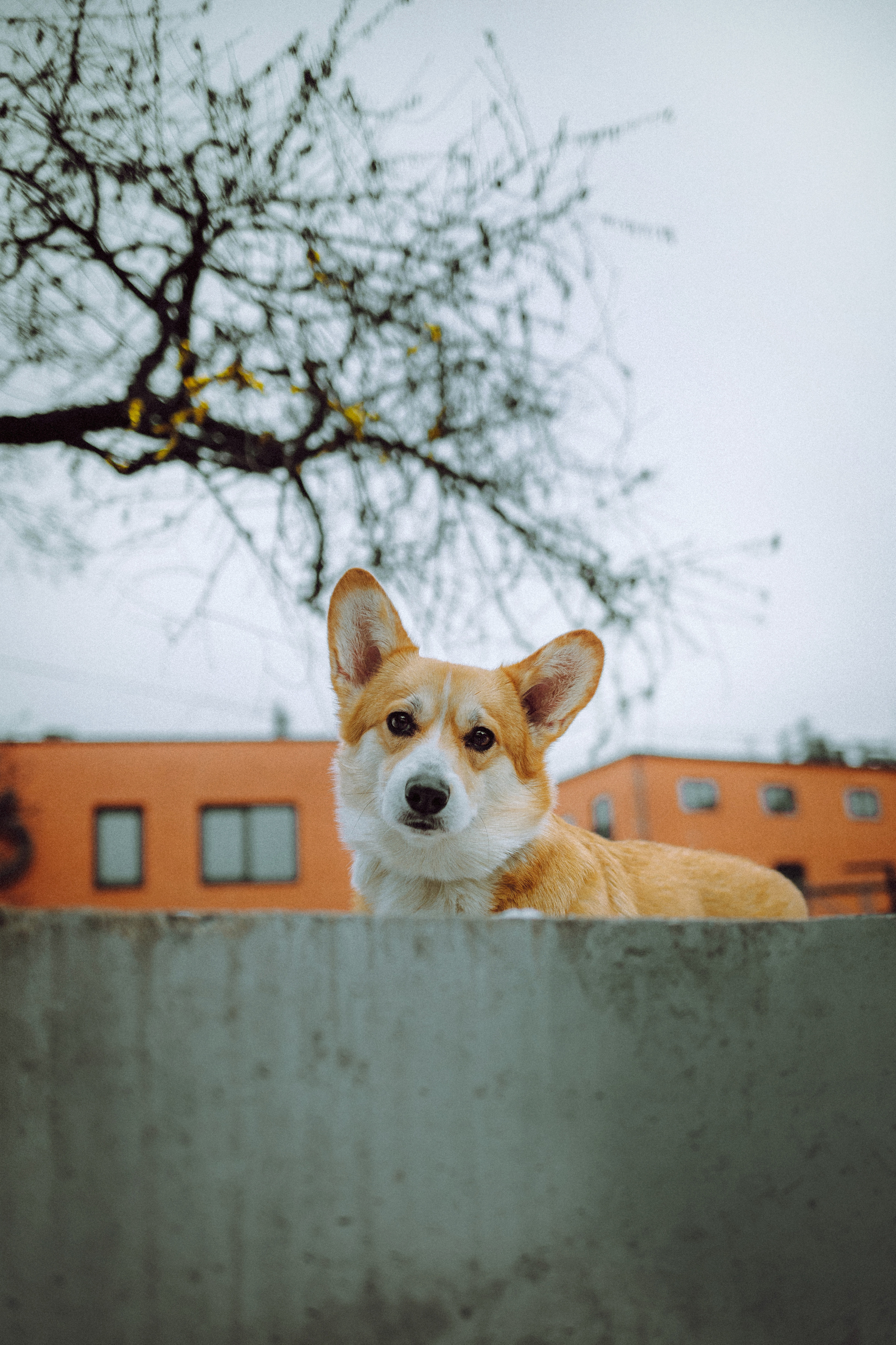 Настя и Ева