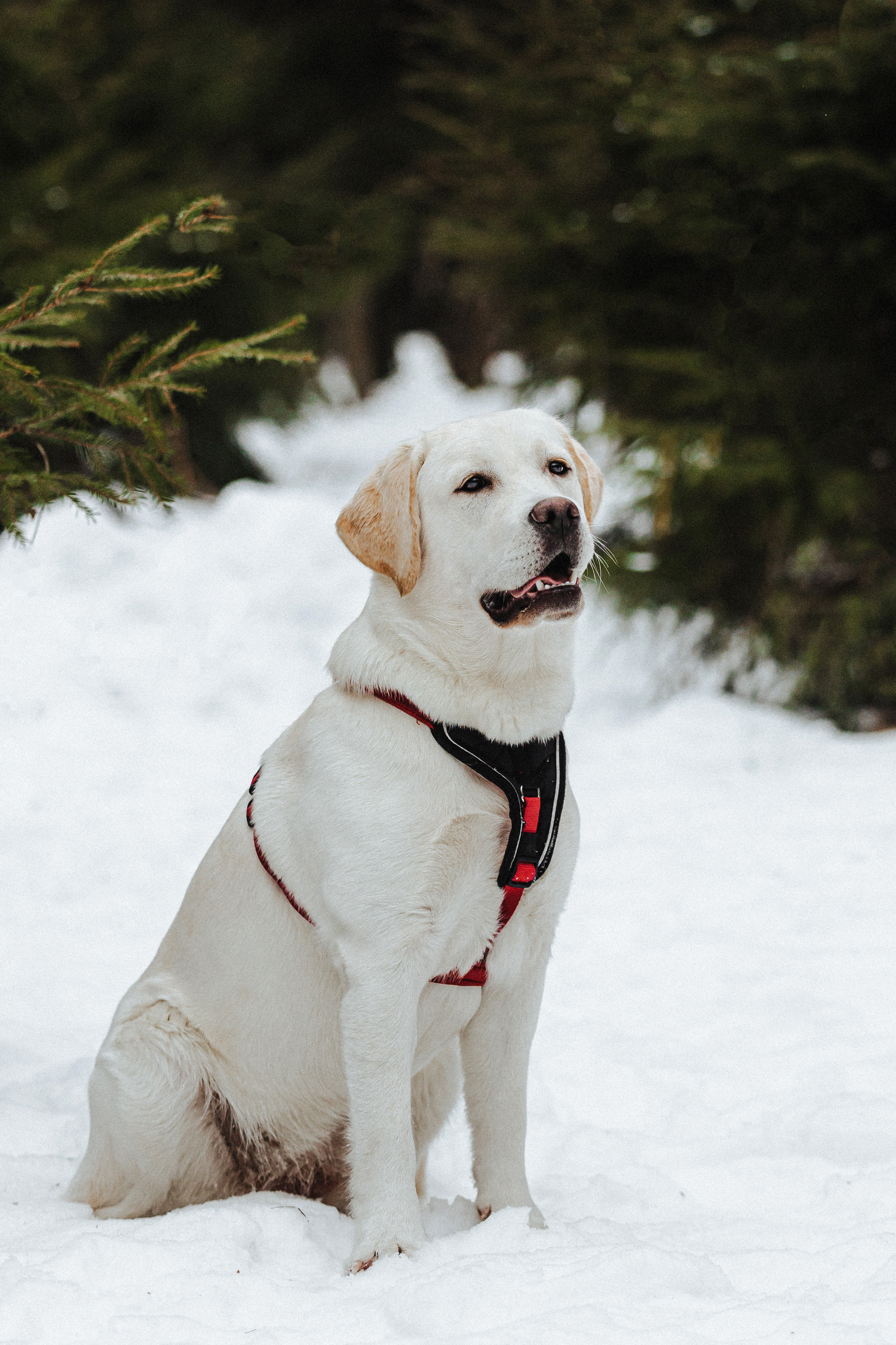 Челси и ее семья