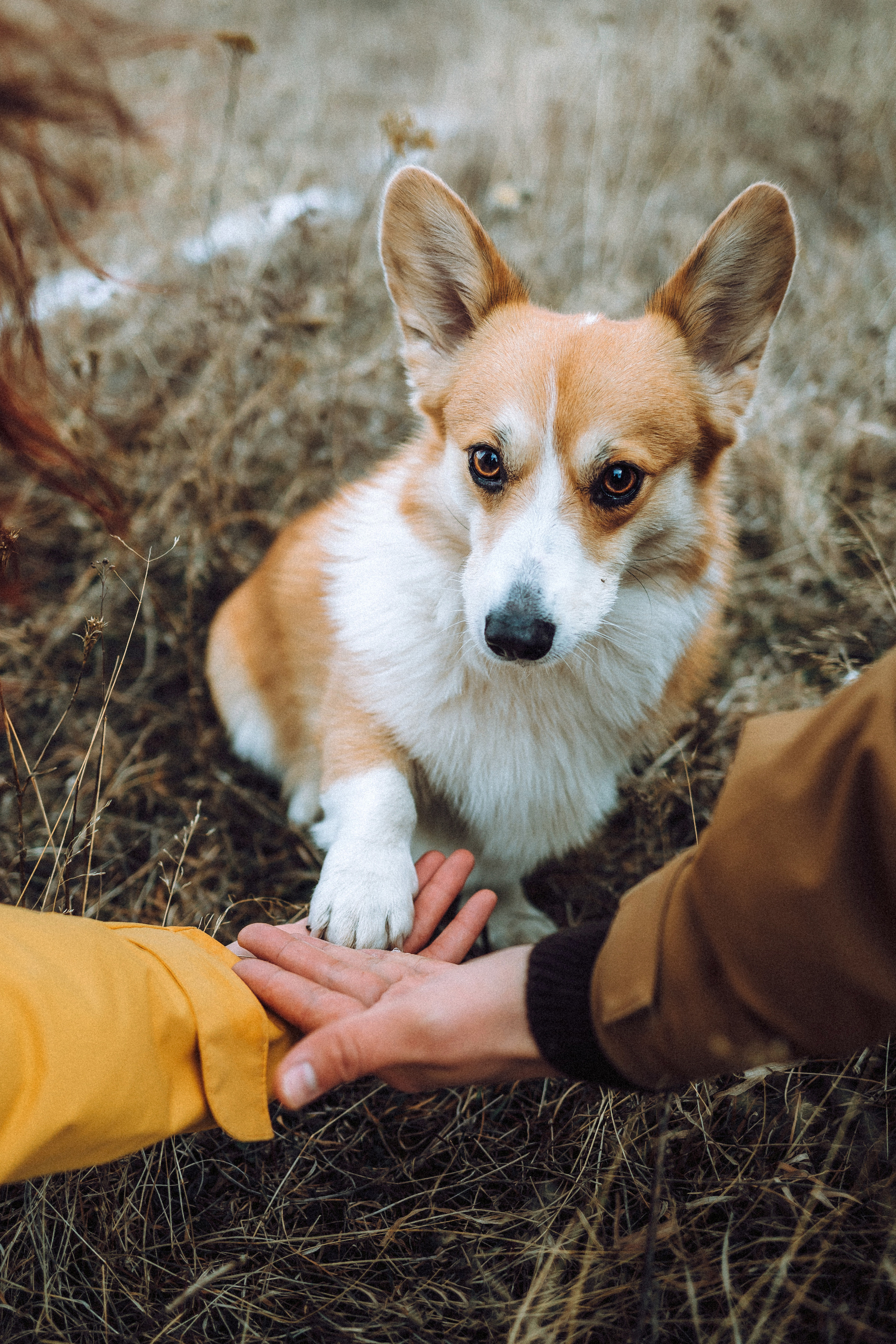 Маша, Женя и Дийкстра