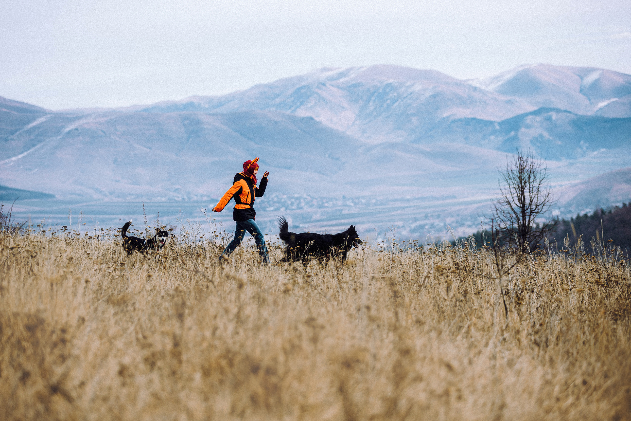 Йаррхи, Антар и их семья