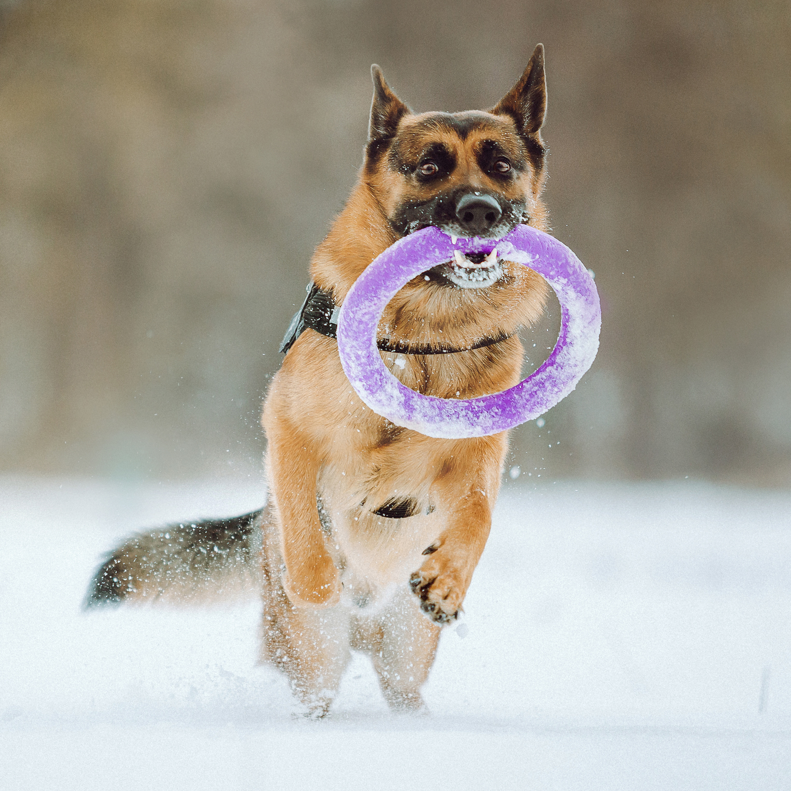 Джим, Лила и их семья