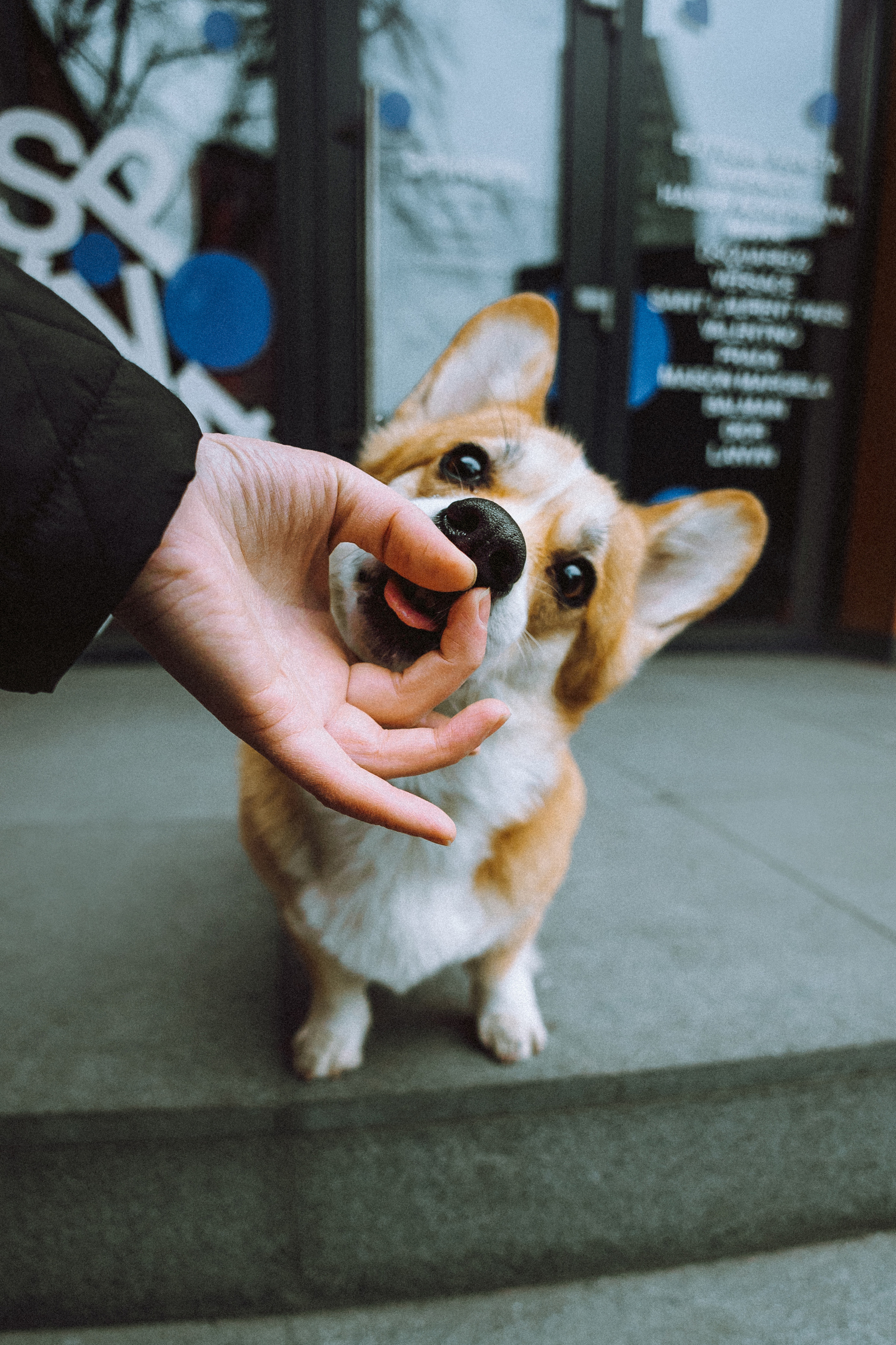 Настя и Ева