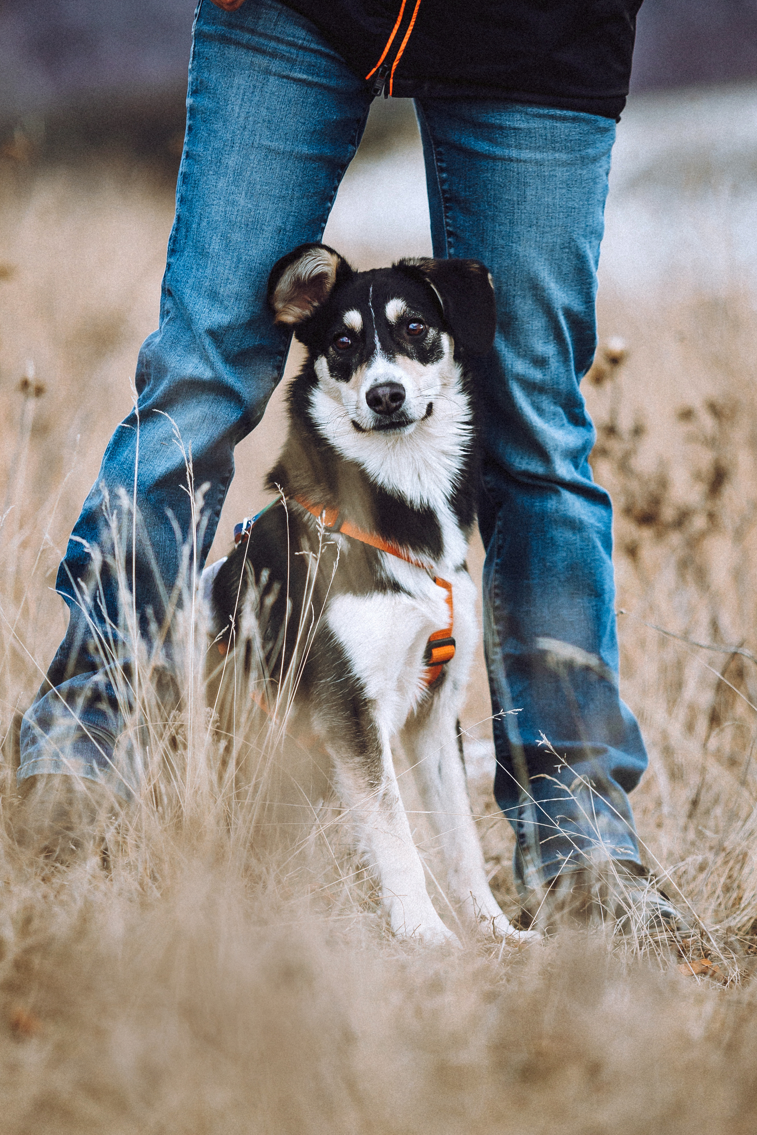 Йаррхи, Антар и их семья