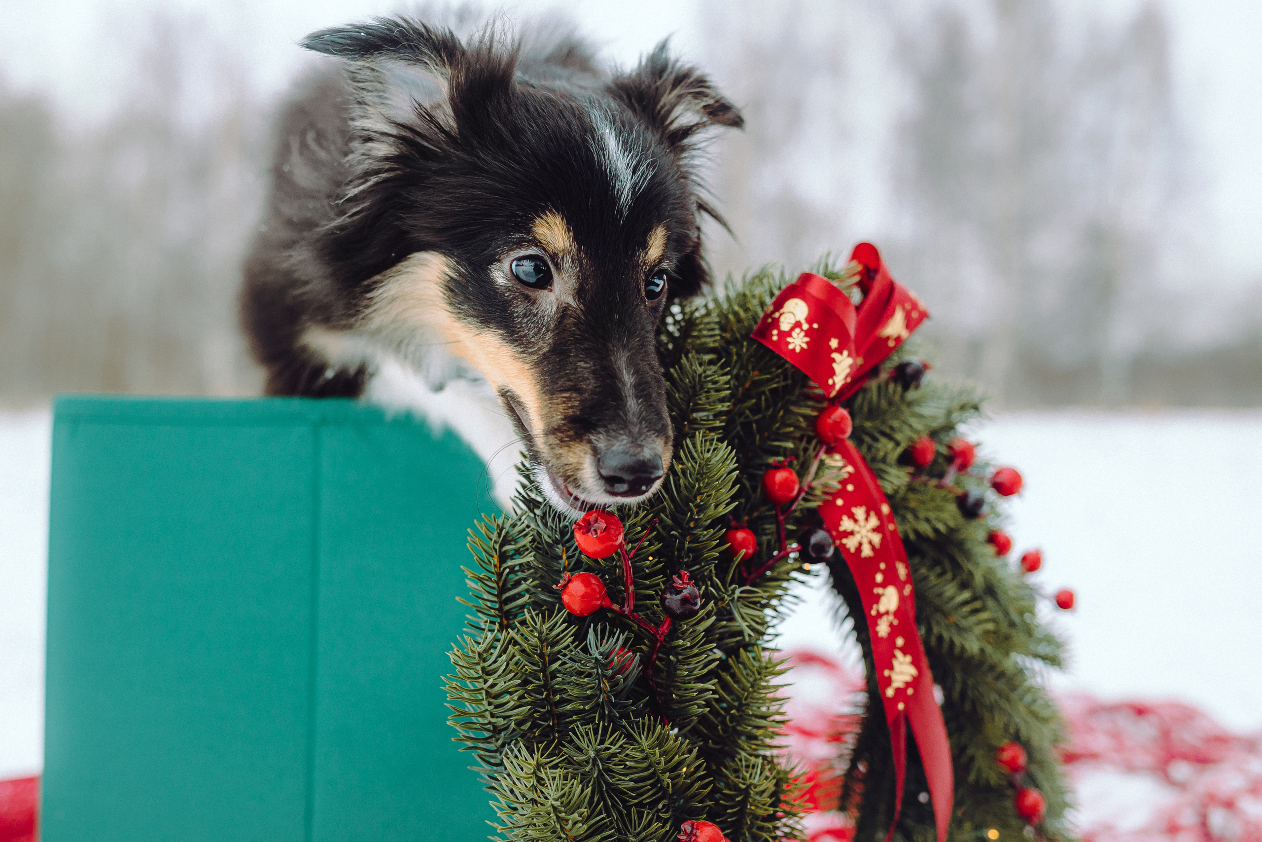 Джим, Лила и их семья