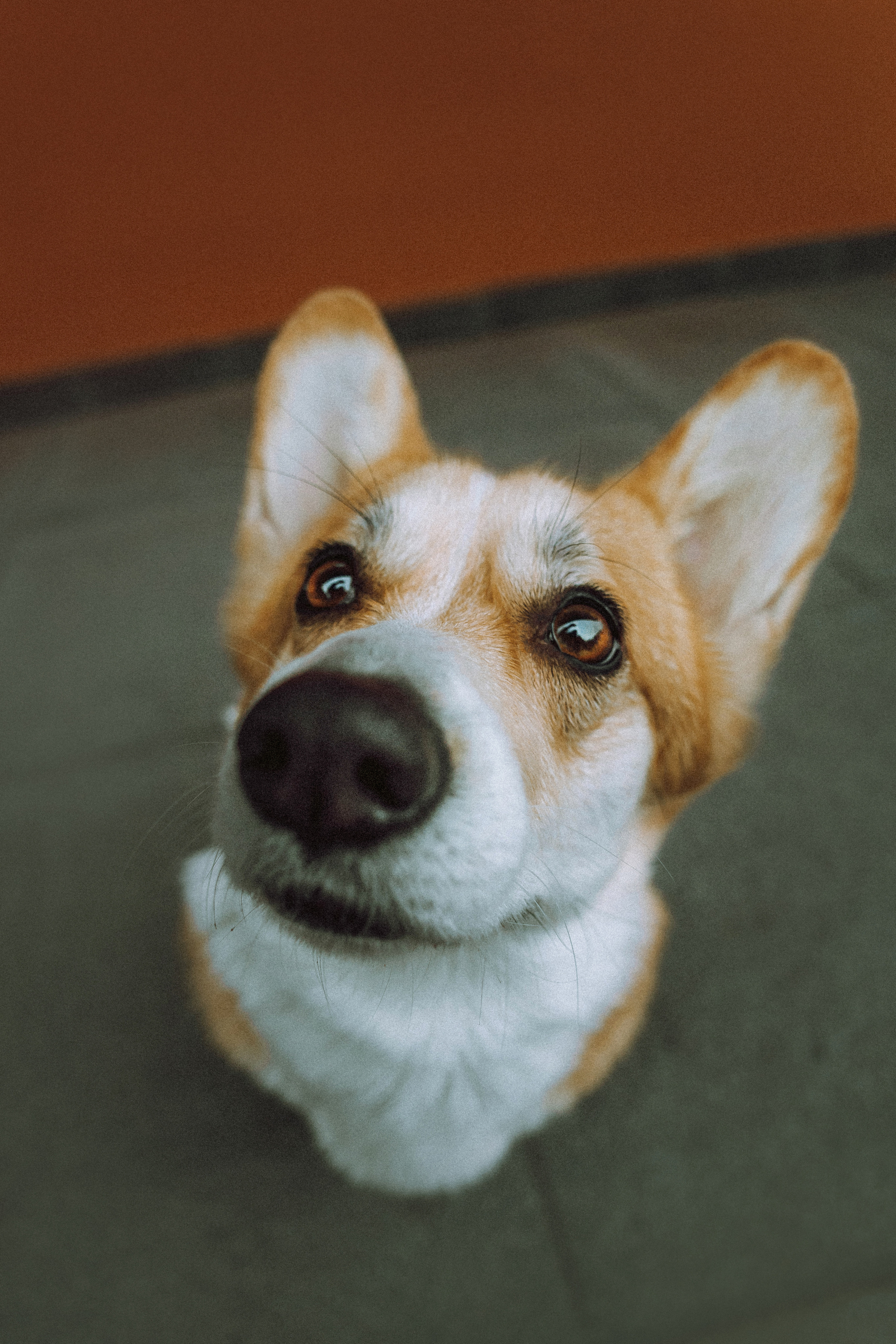 Настя и Ева