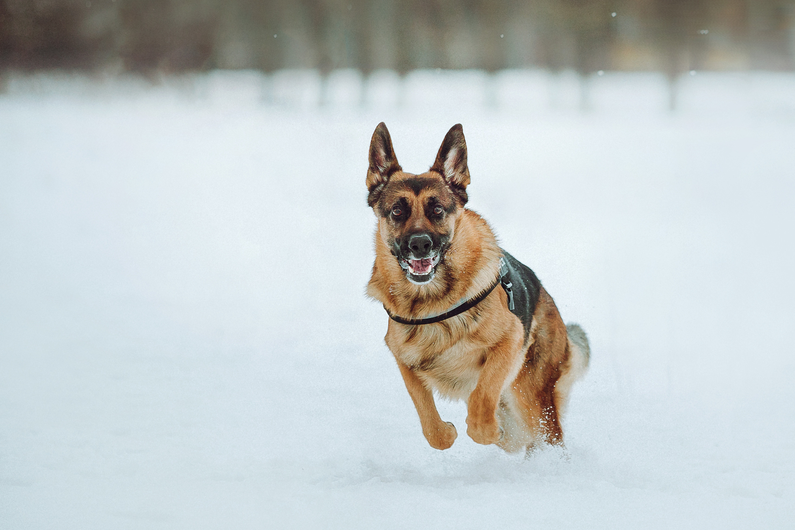 Джим, Лила и их семья