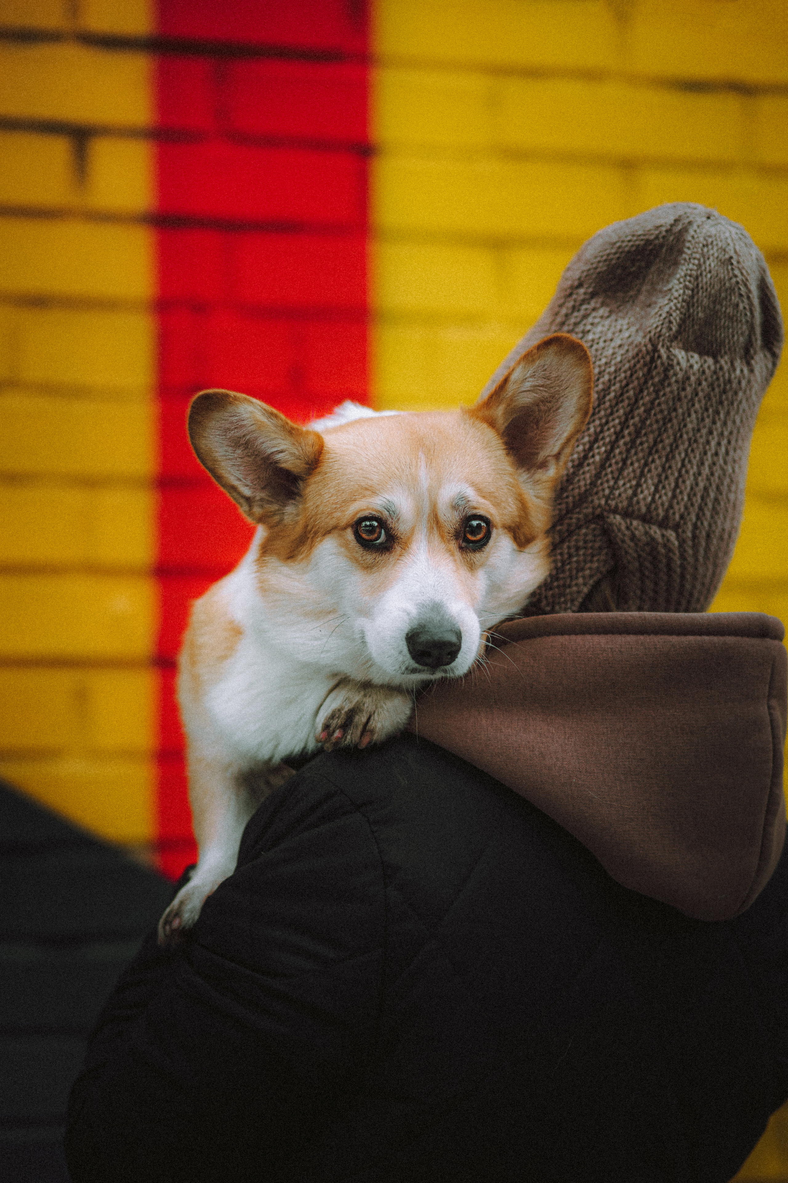 Настя и Ева