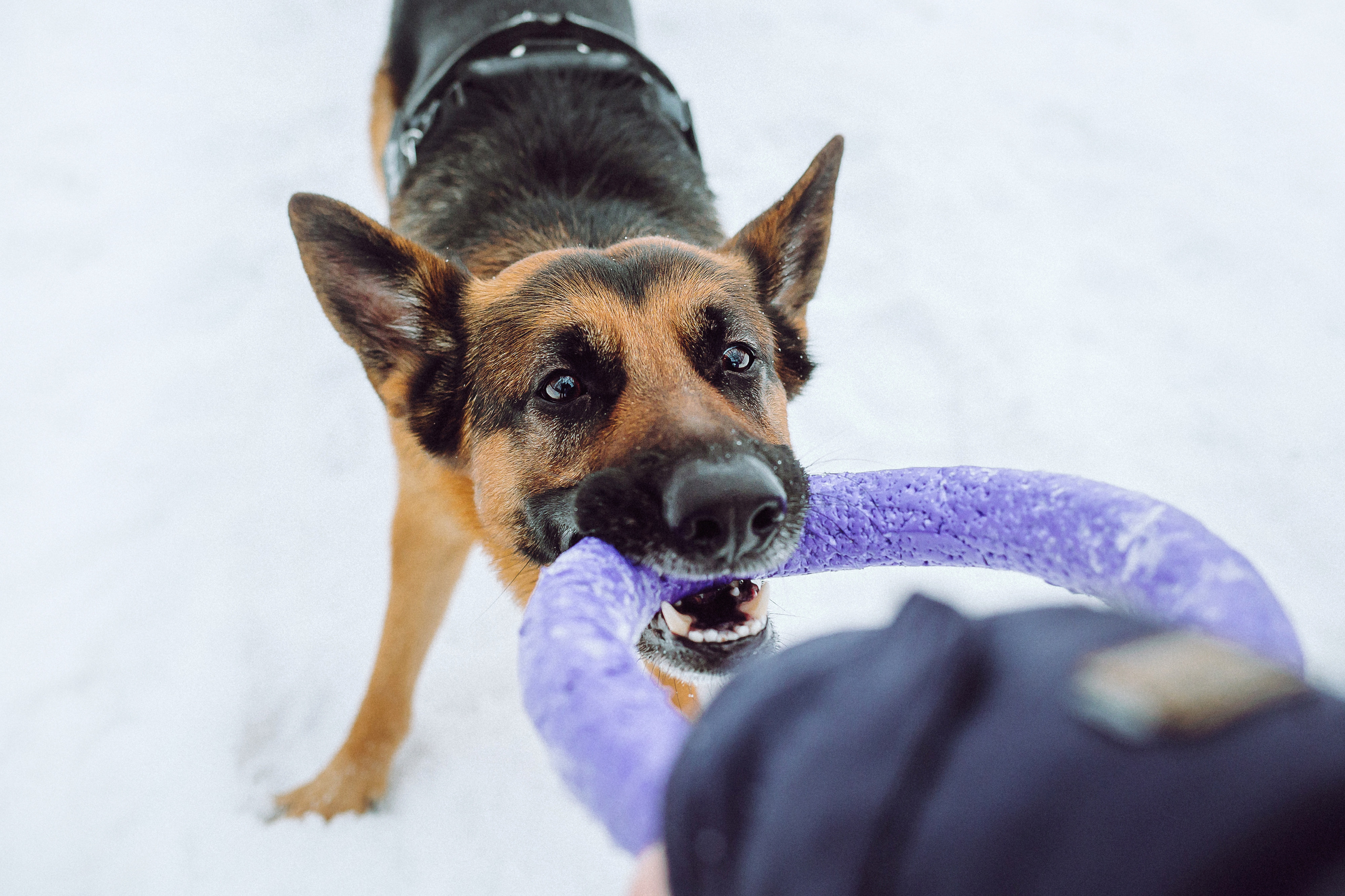 Джим, Лила и их семья