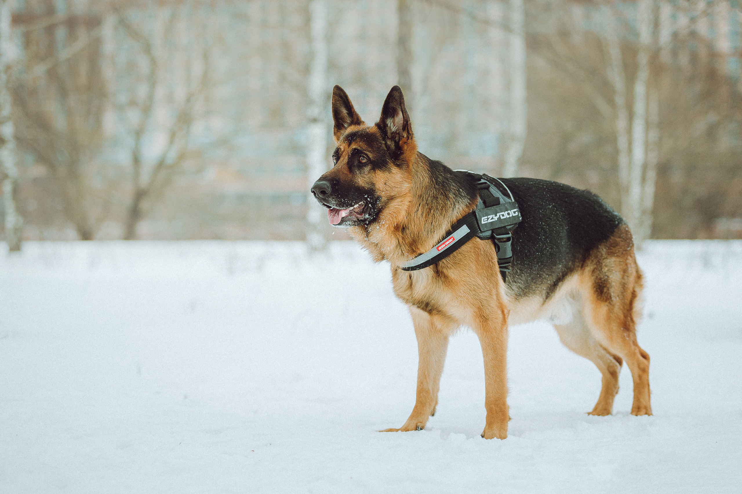 Джим, Лила и их семья