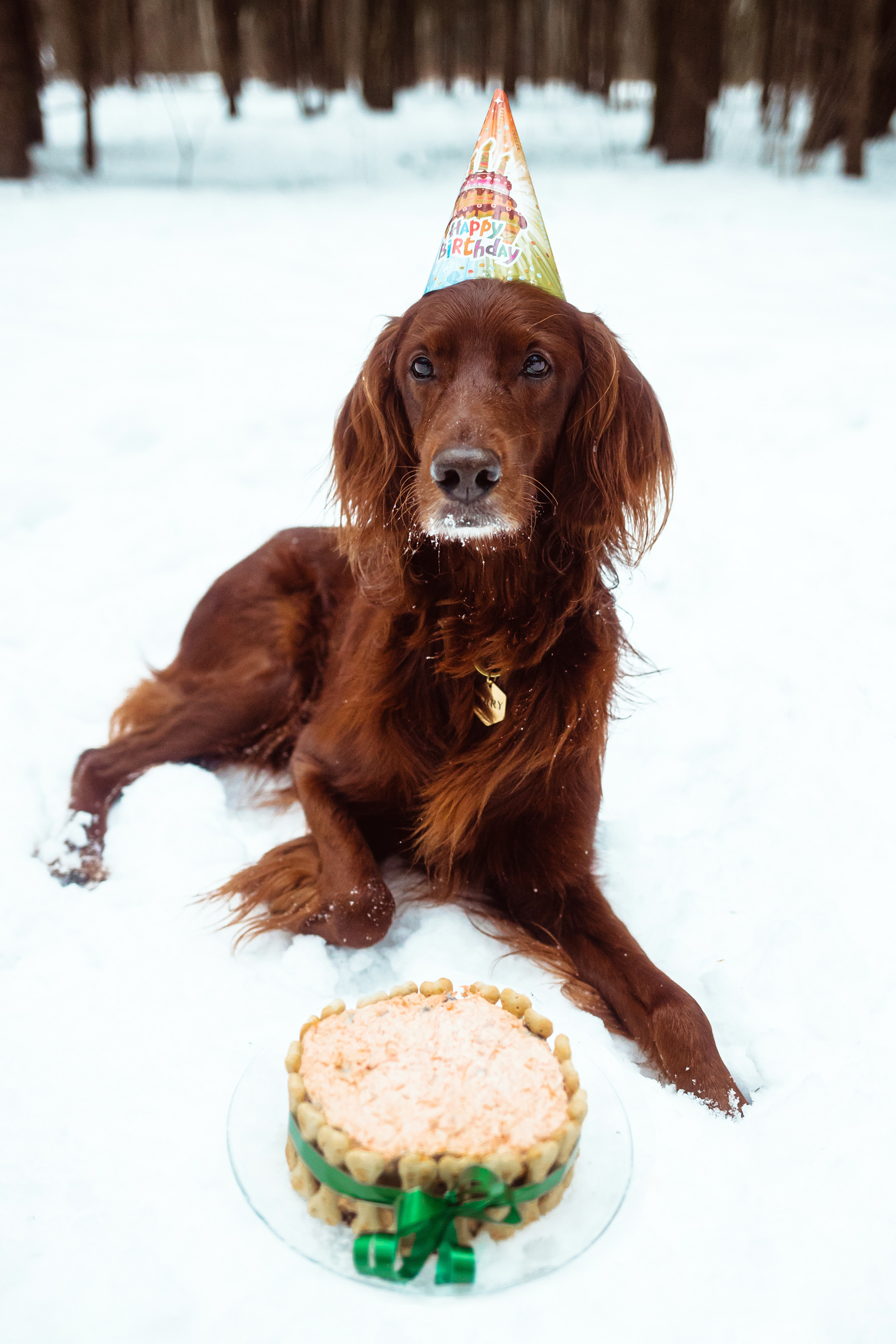 День Рождения Джерри