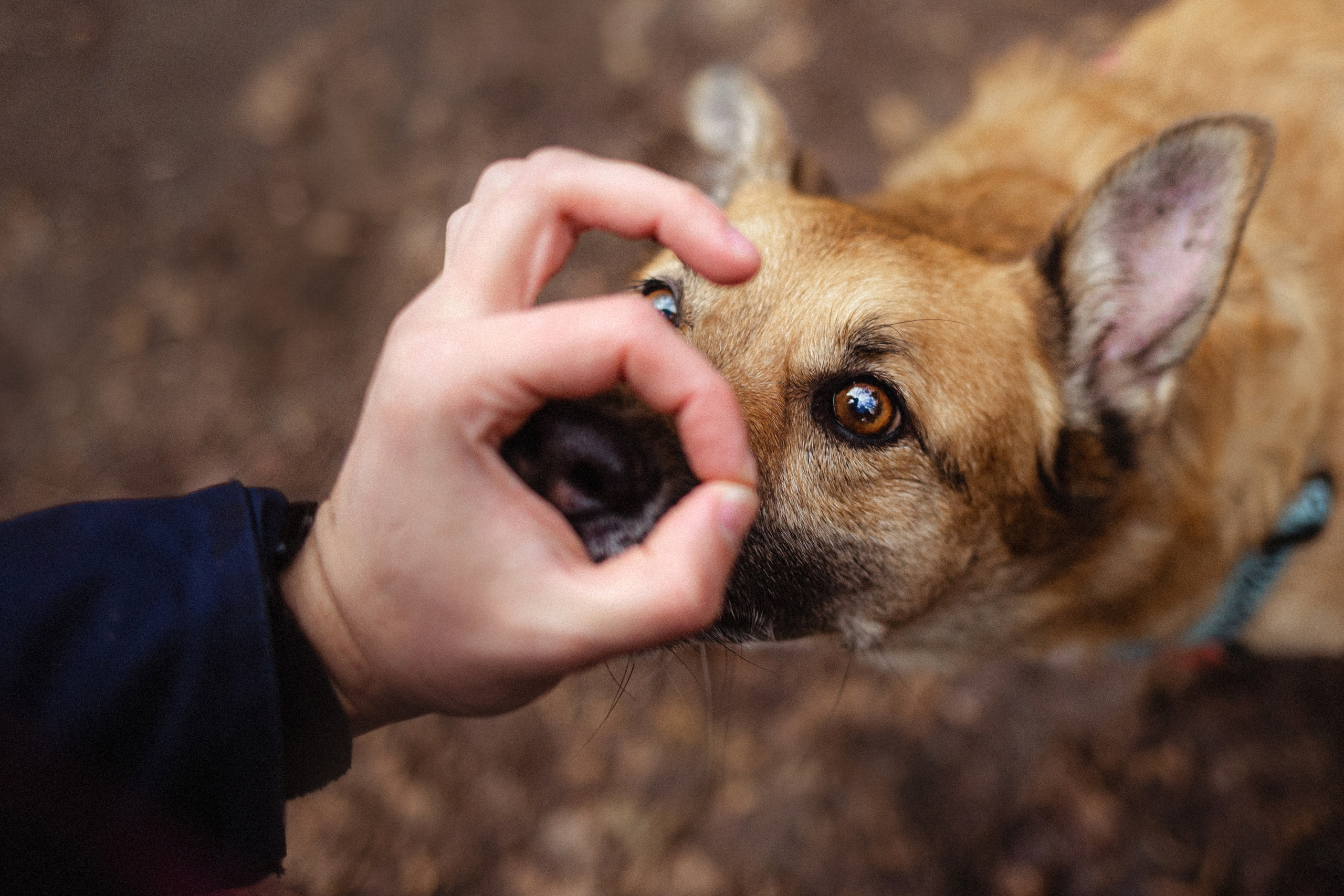 Лика и ее семья