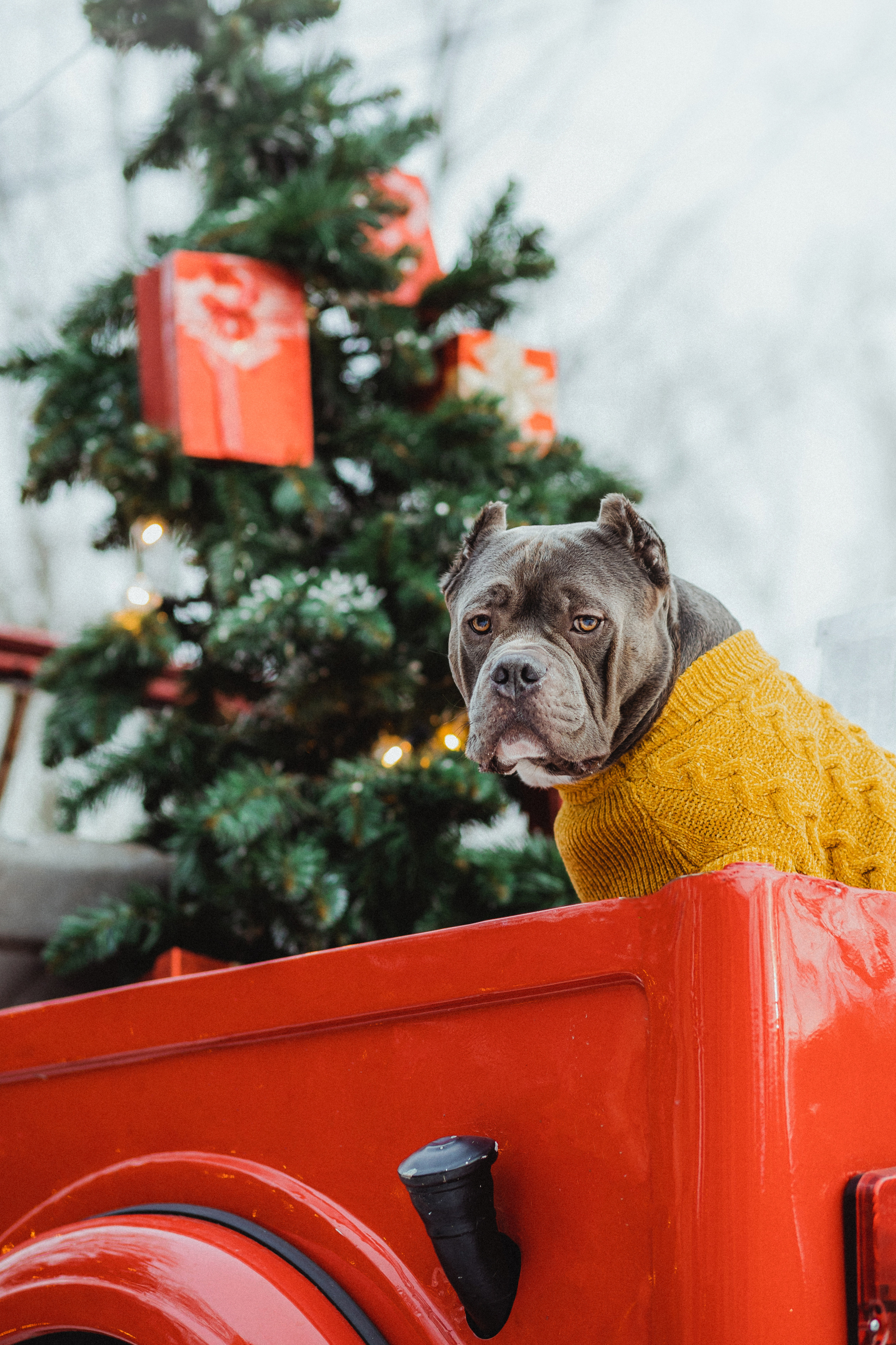 Маша и Халк