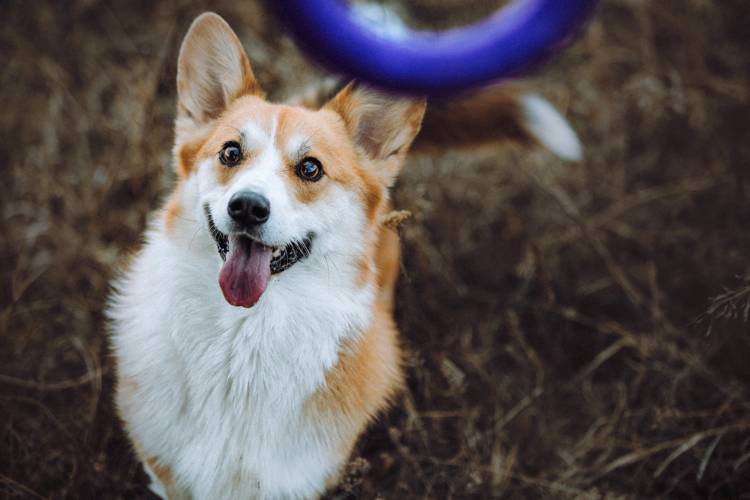 Маша, Женя и Дийкстра