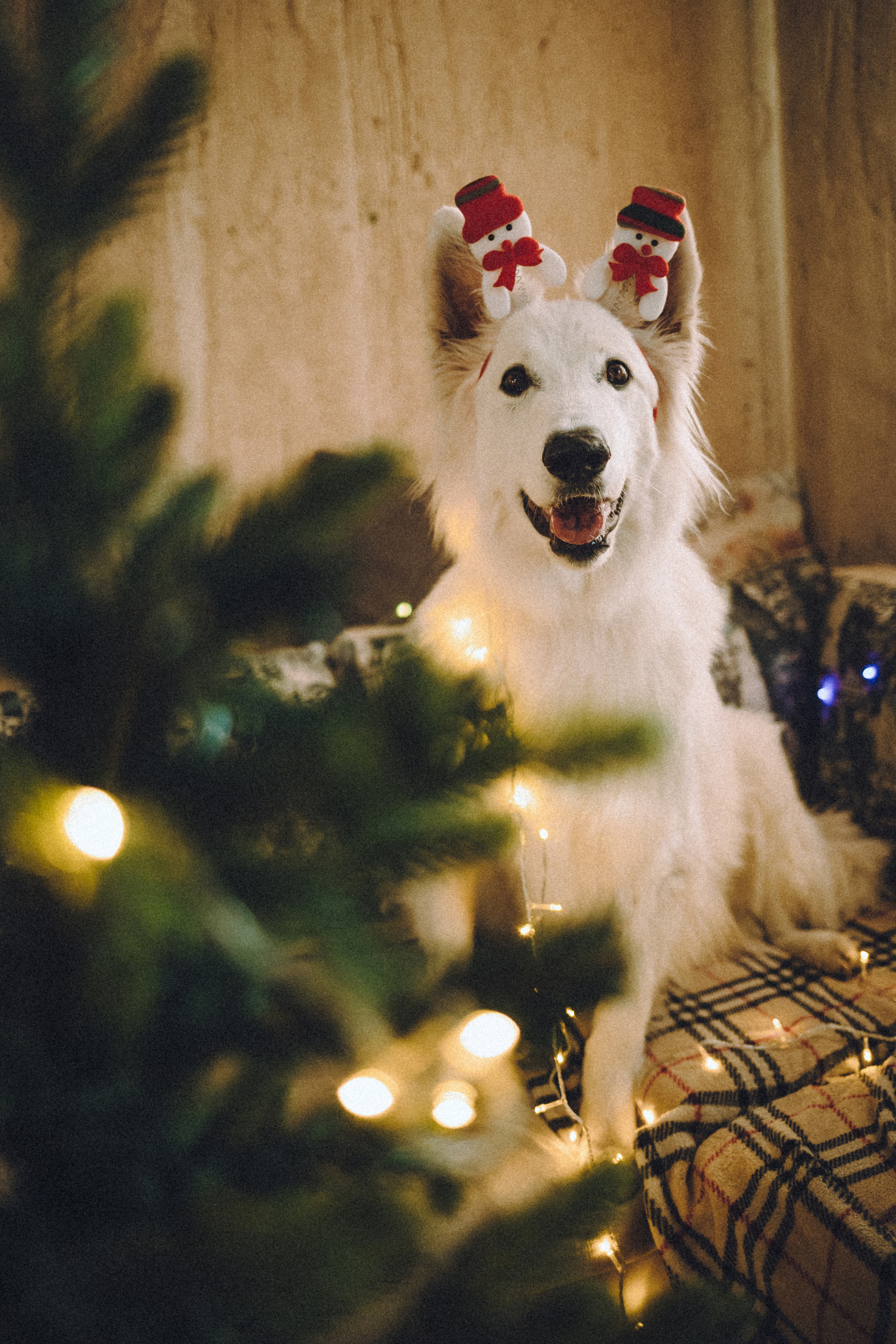 Оля, Саша и Юки