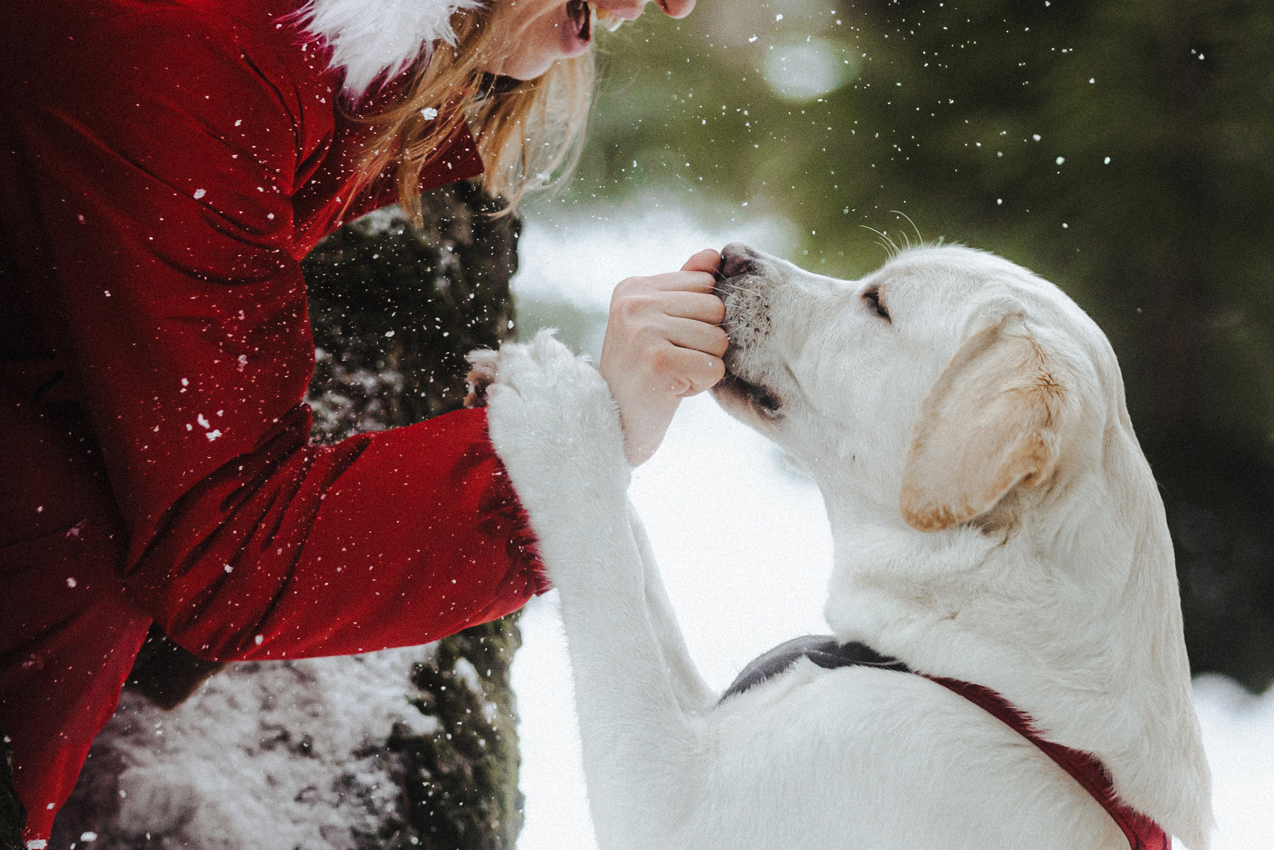 Челси и ее семья