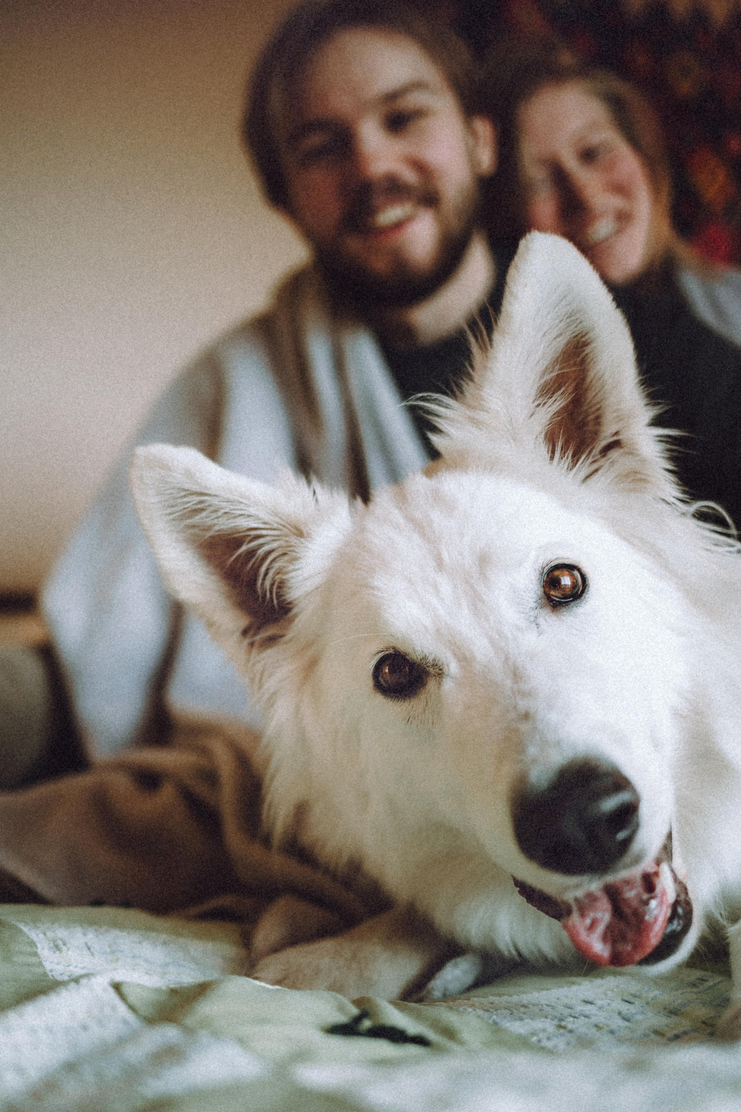 Оля, Саша и Юки