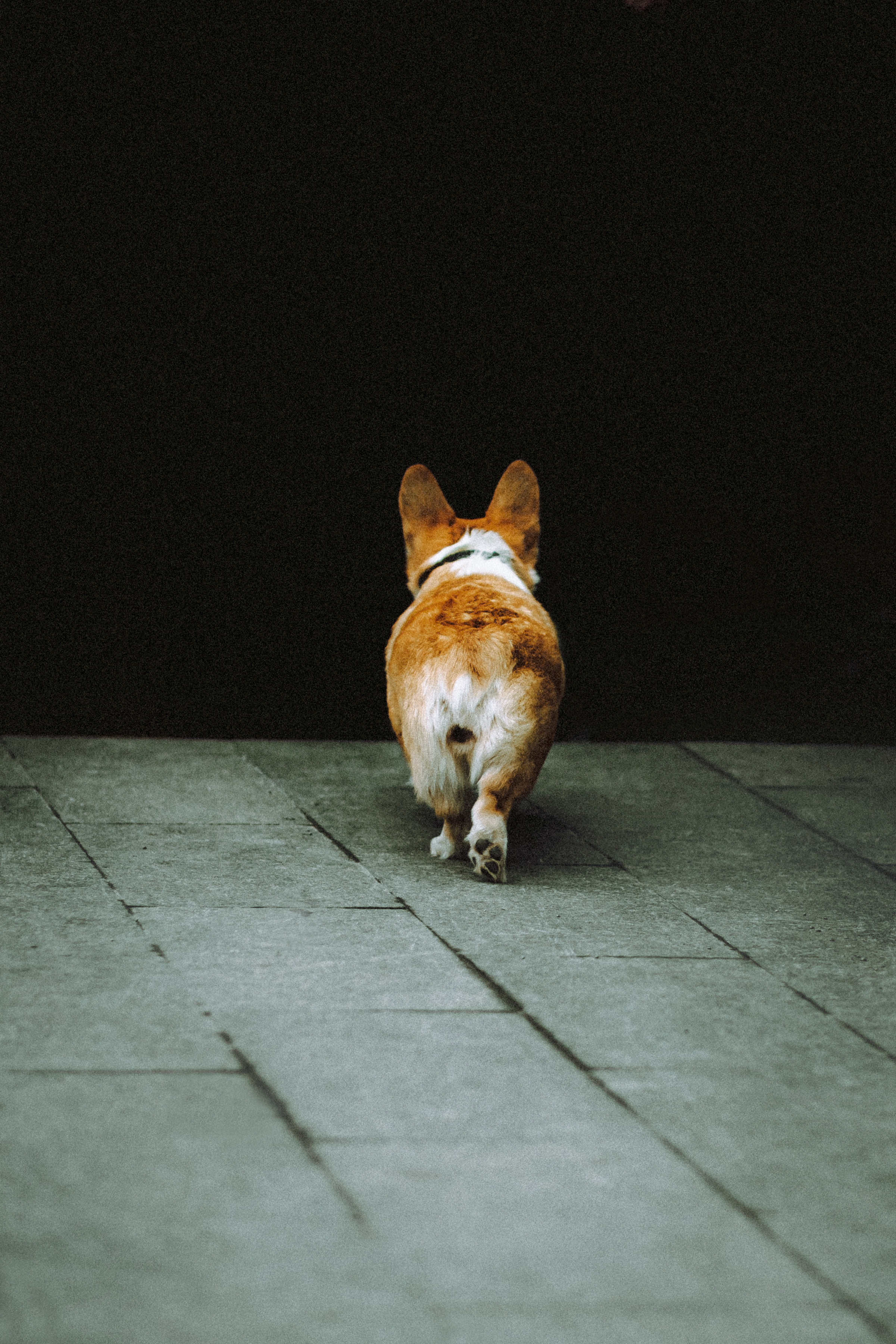 Настя и Ева