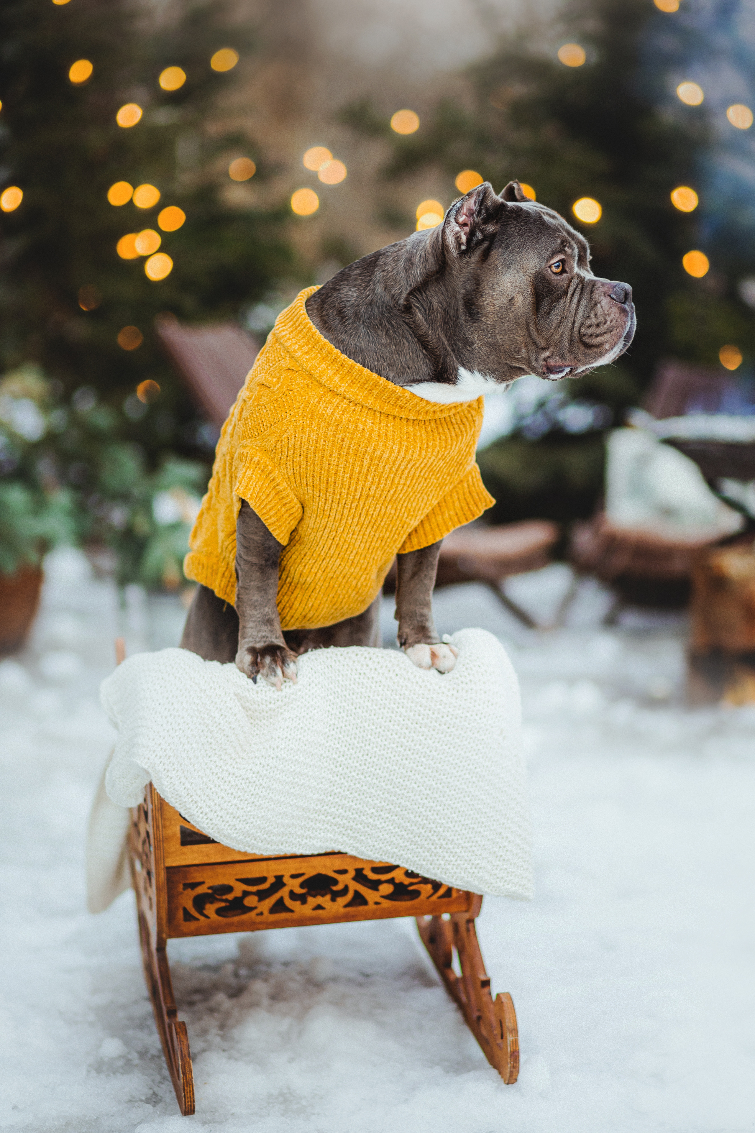 Маша и Халк