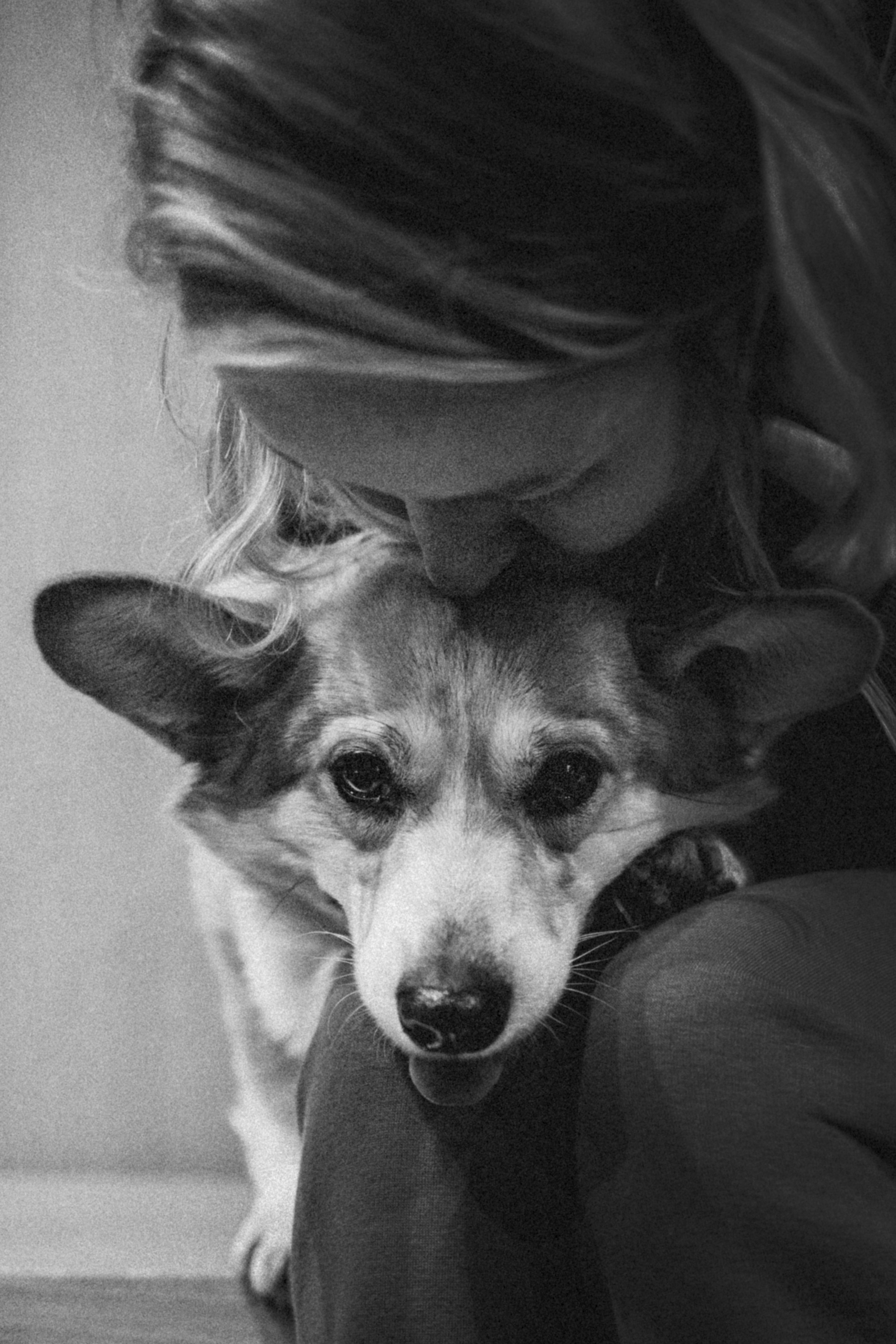 Настя и Ева