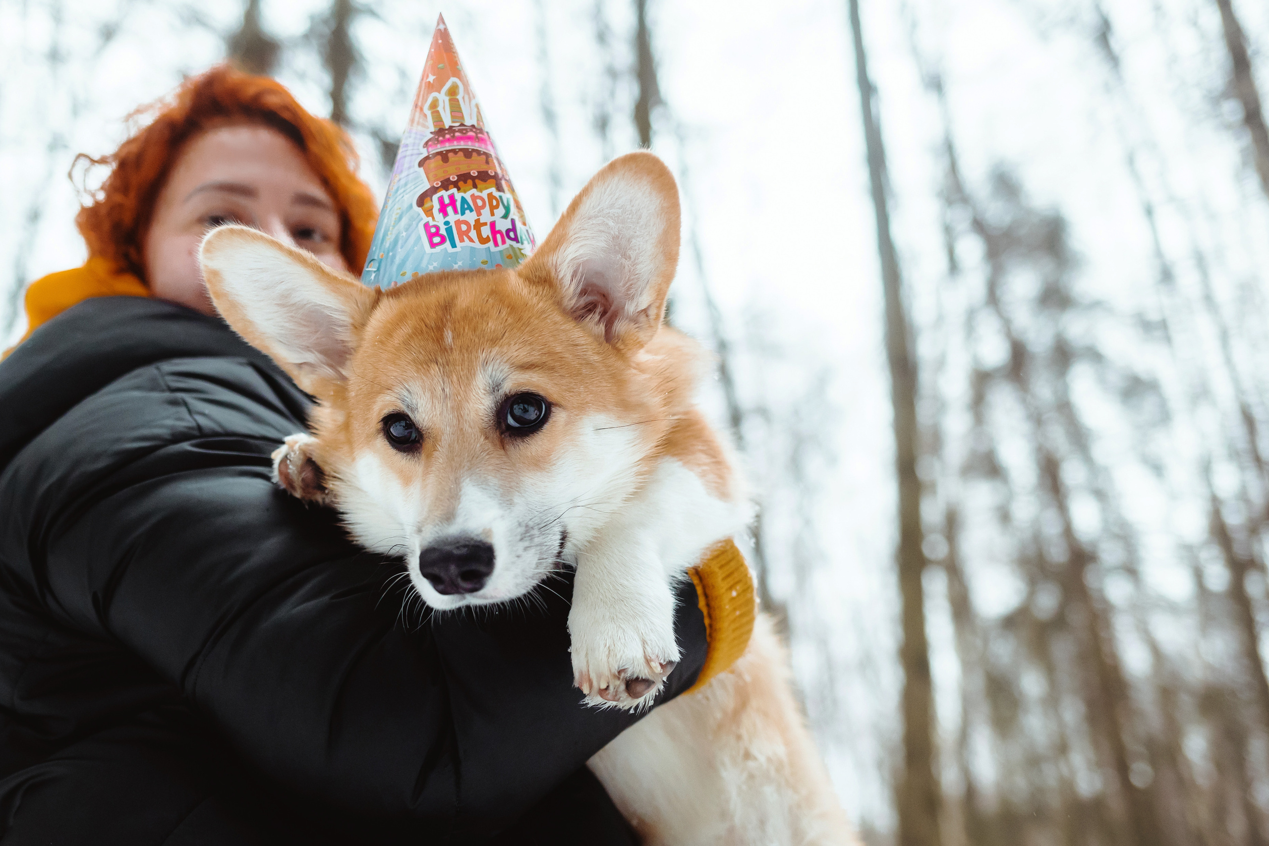 День Рождения Джерри