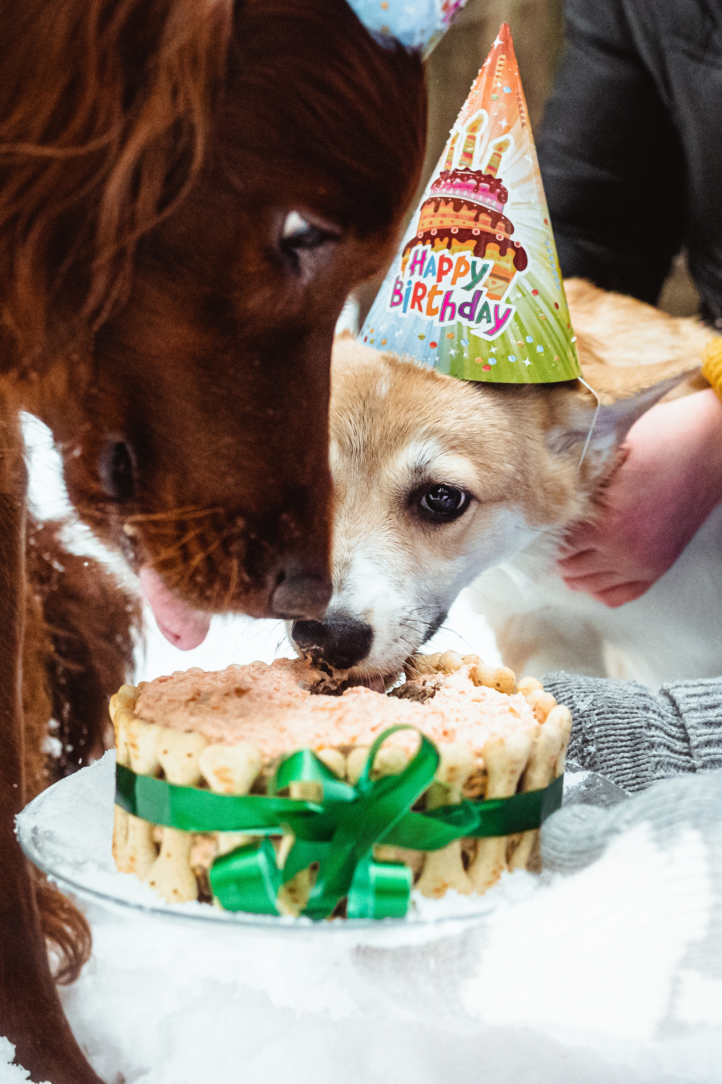 День Рождения Джерри