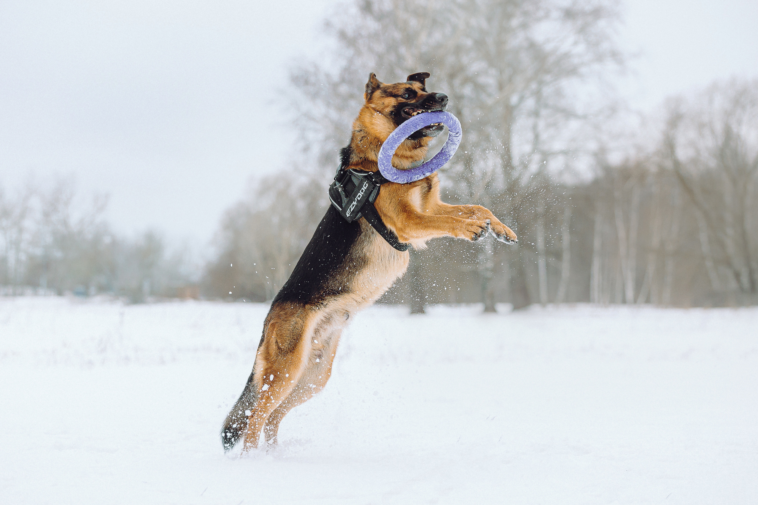 Джим, Лила и их семья