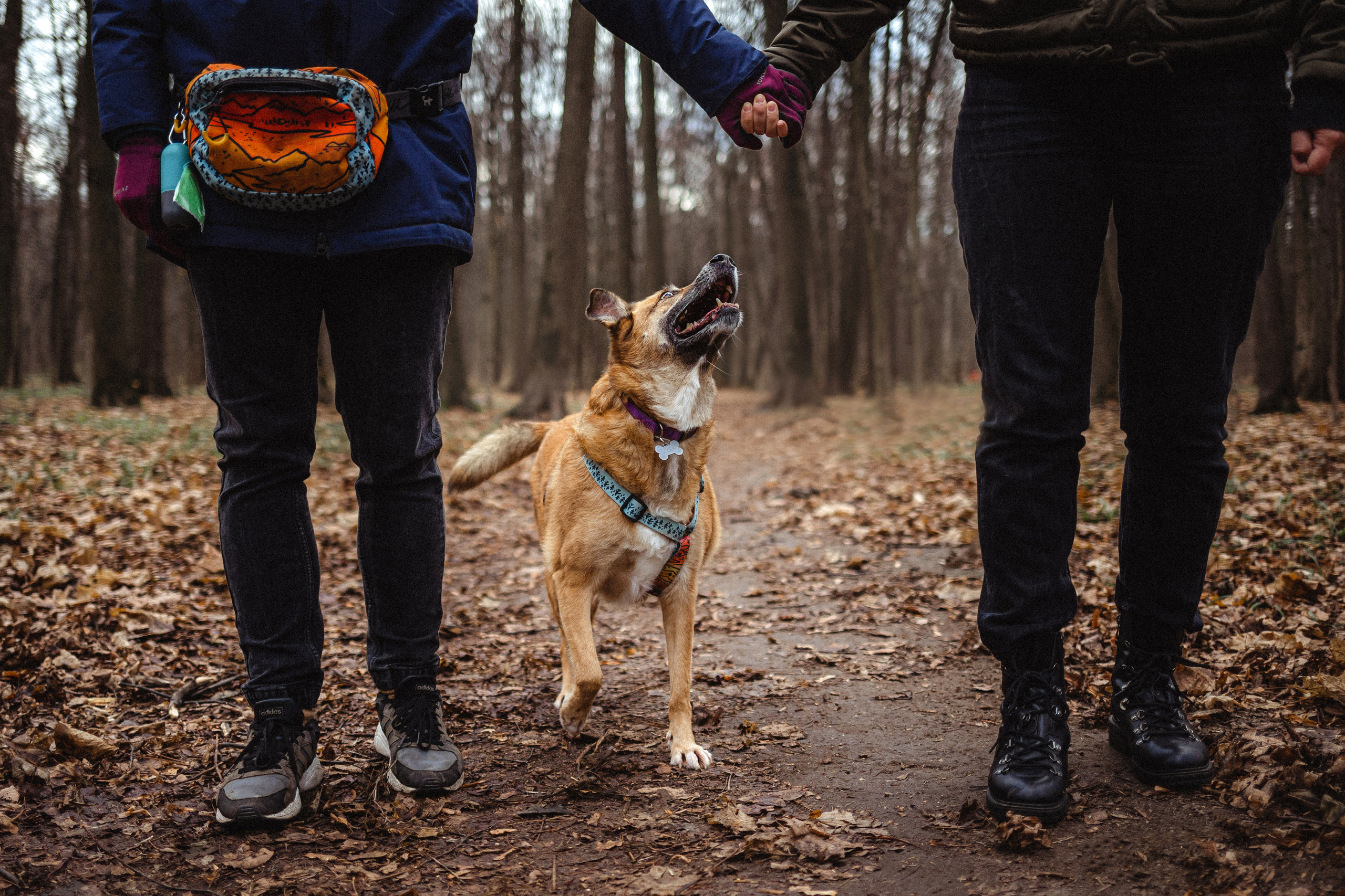 Лика и ее семья