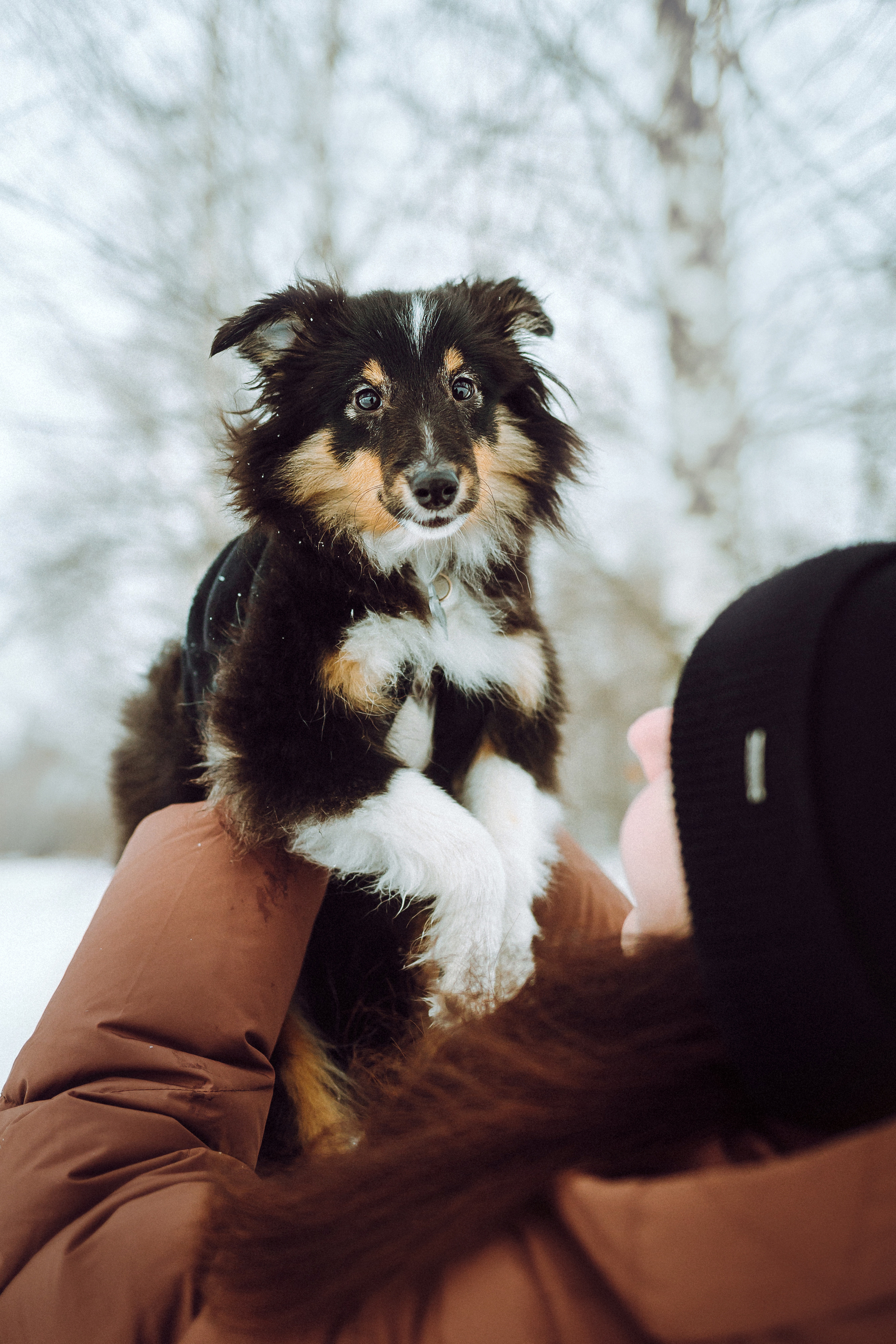 Джим, Лила и их семья