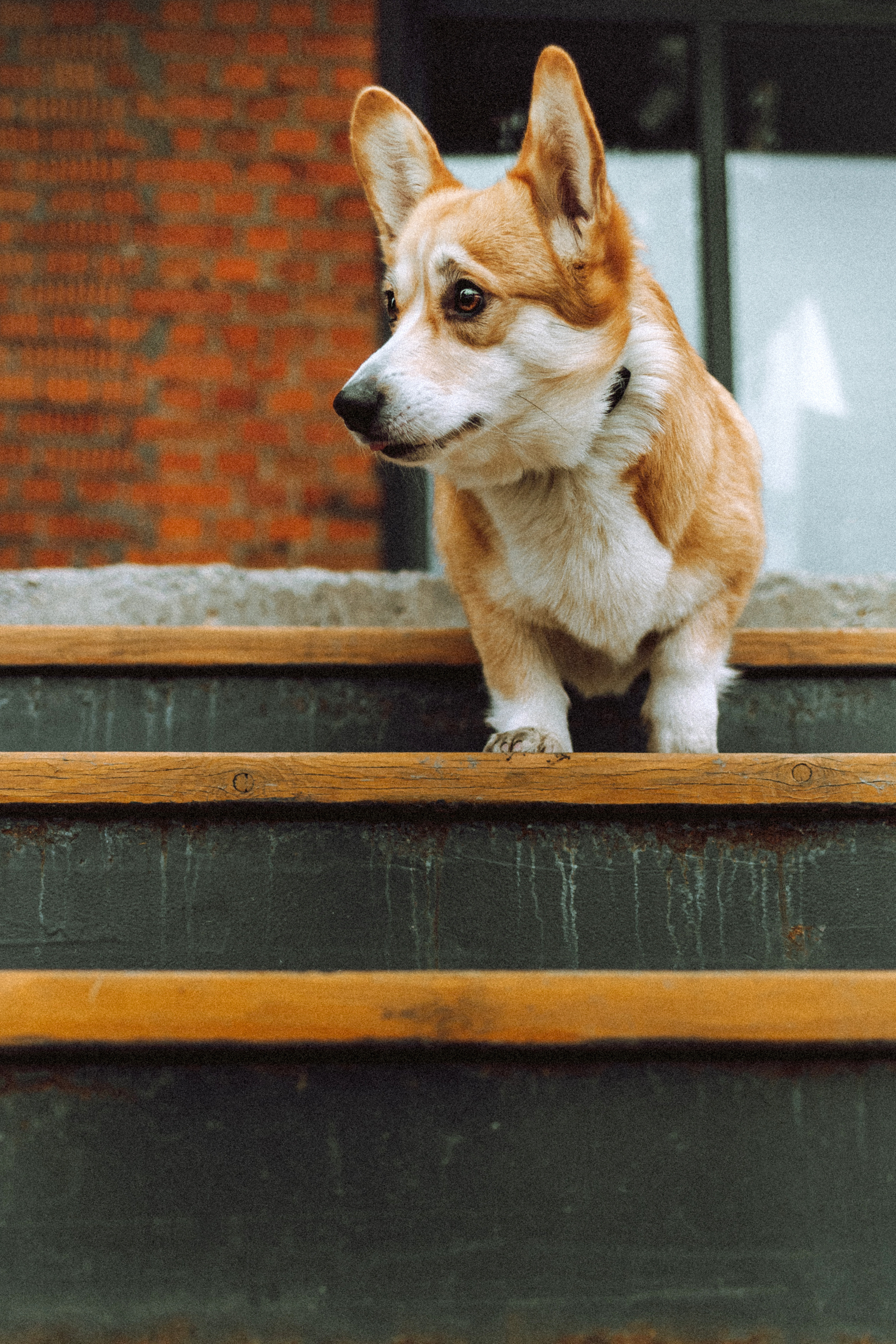 Настя и Ева