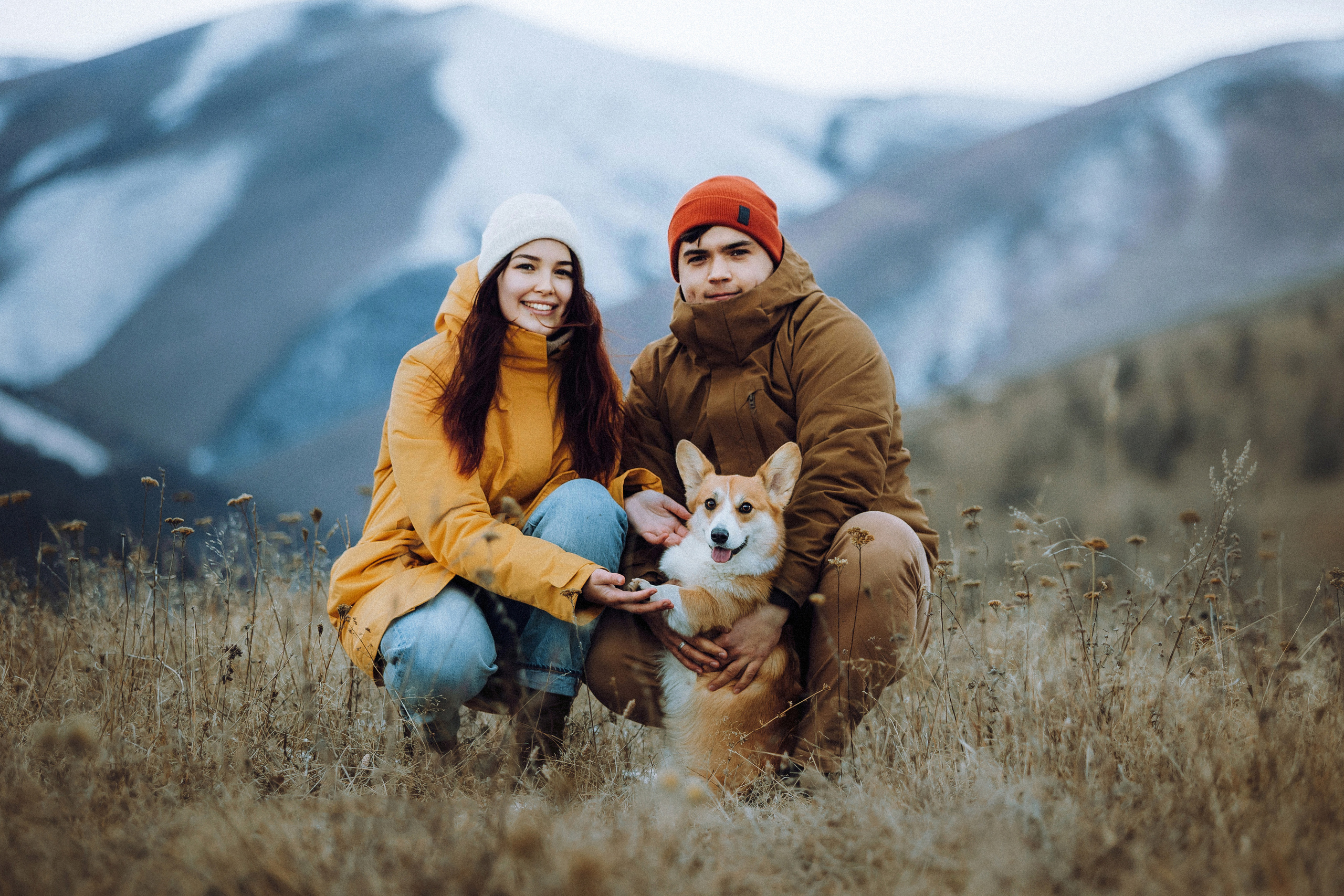 Фотосессия корги Дийкстры, Маши и Жени