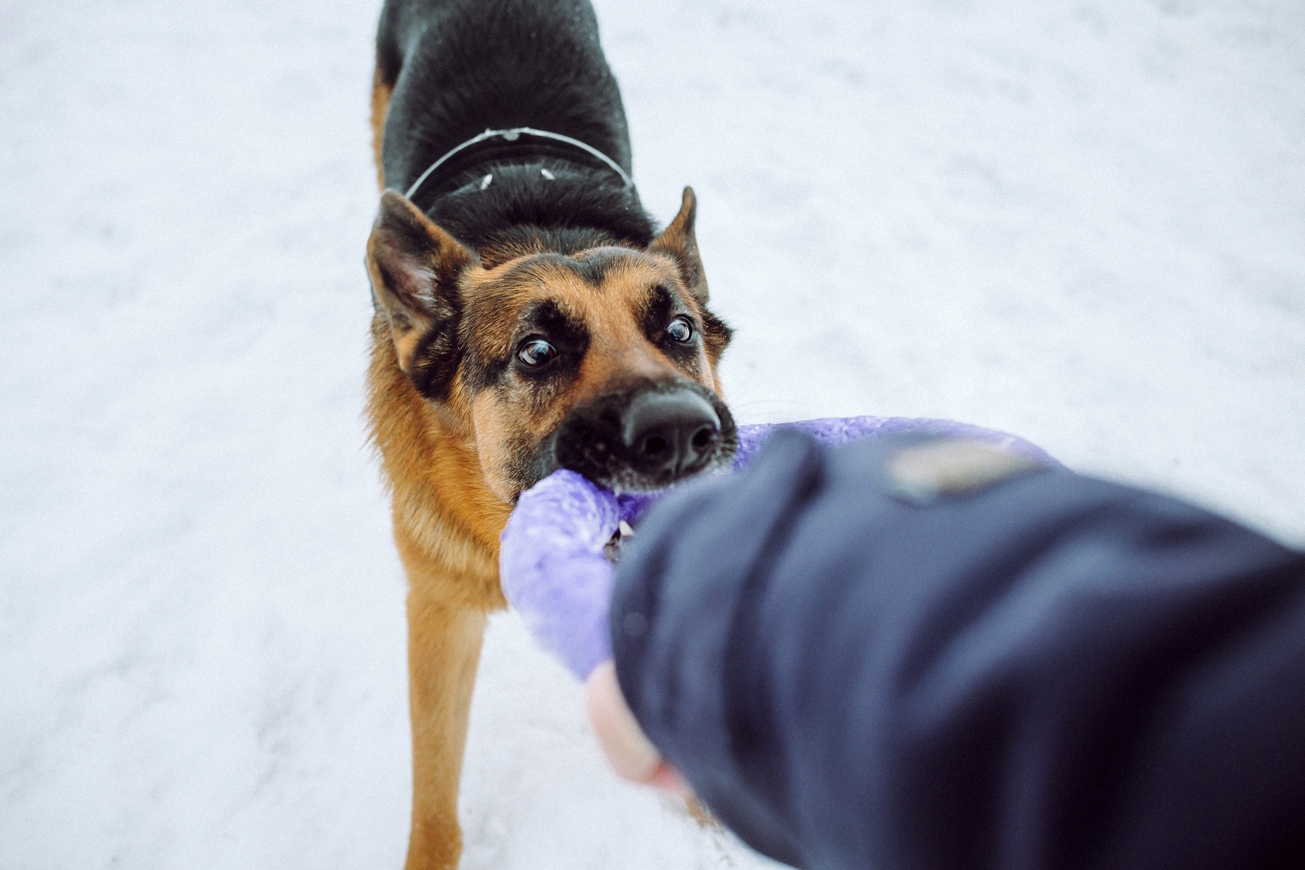Джим, Лила и их семья