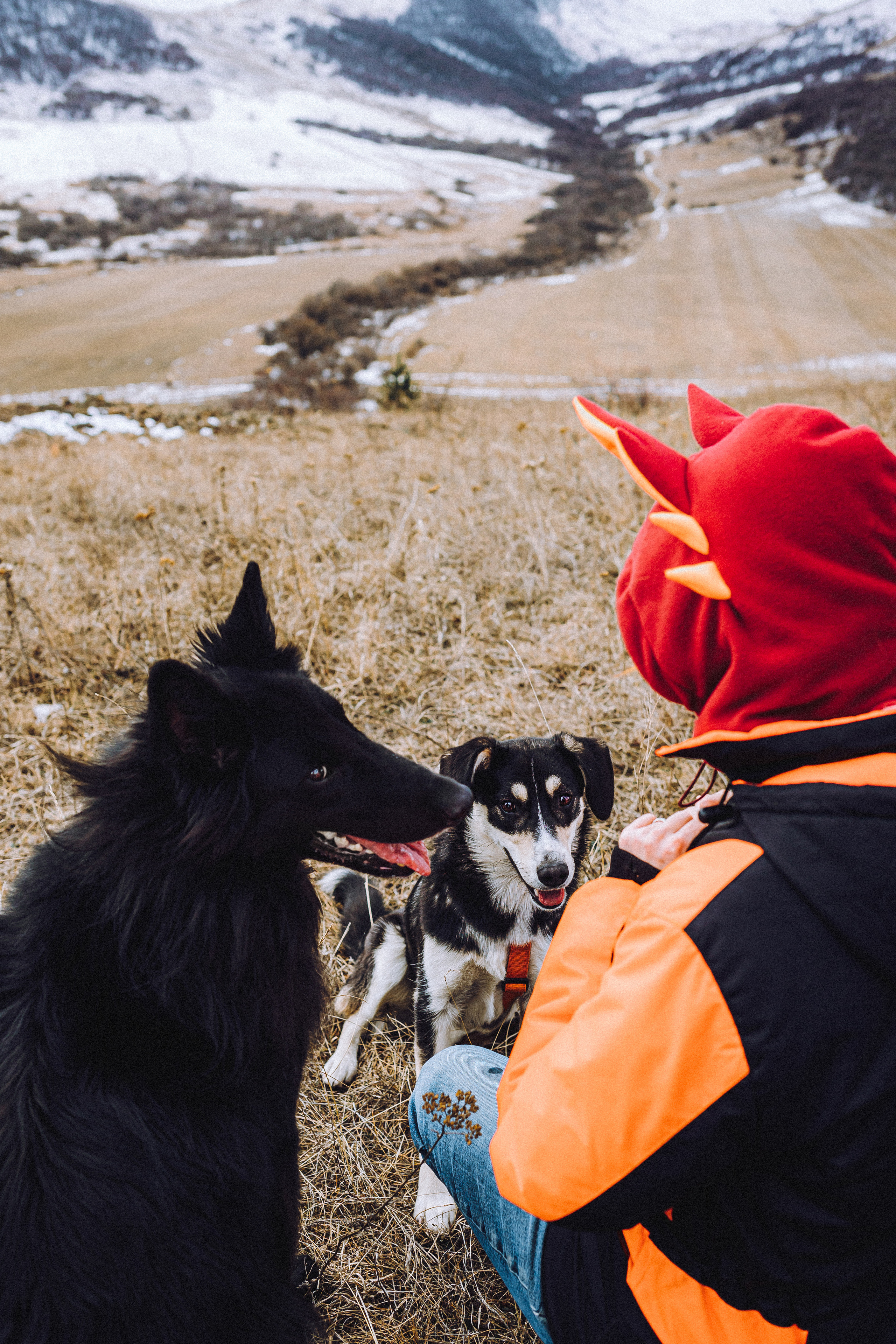 Йаррхи, Антар и их семья