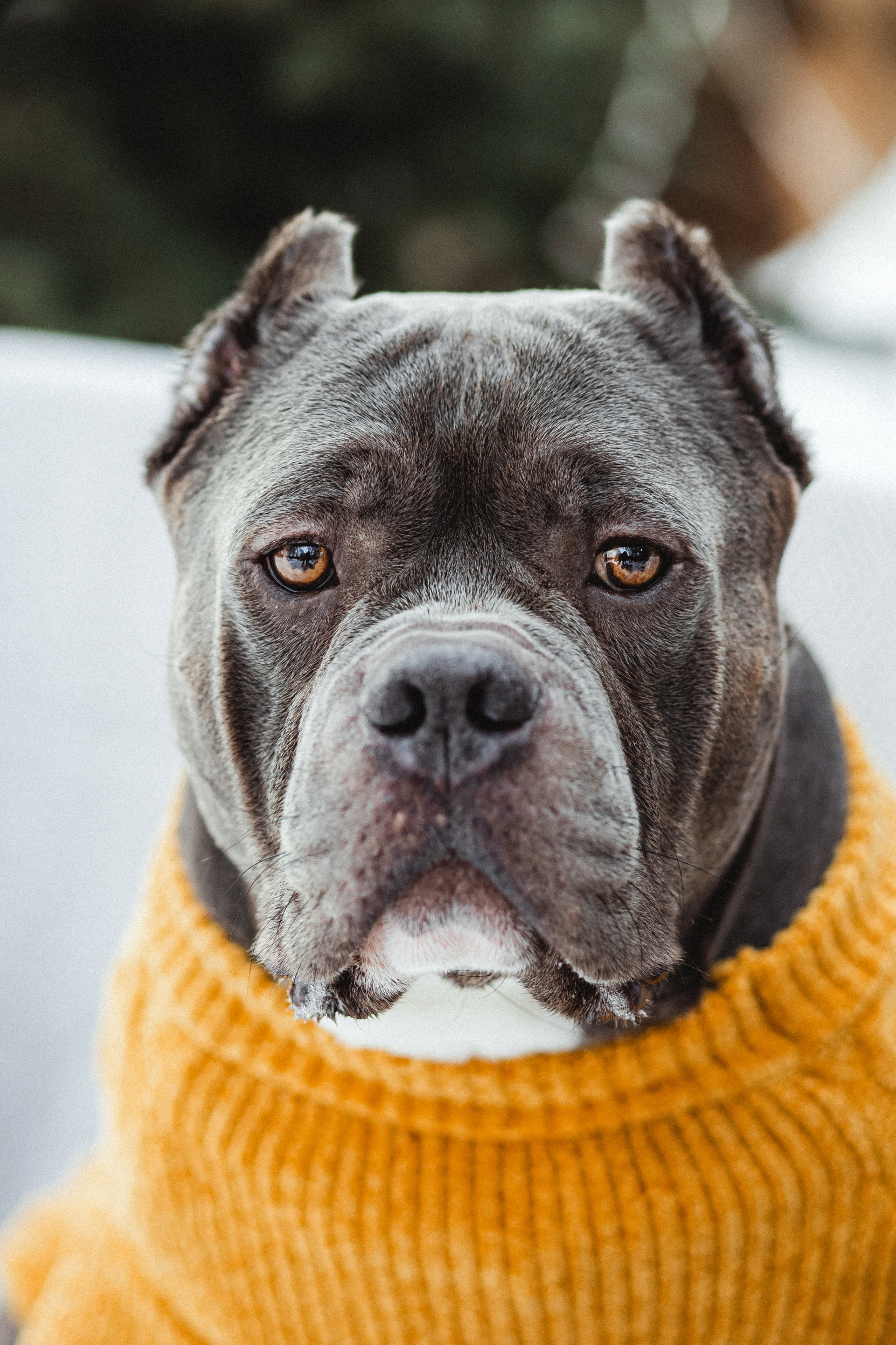 Маша и Халк