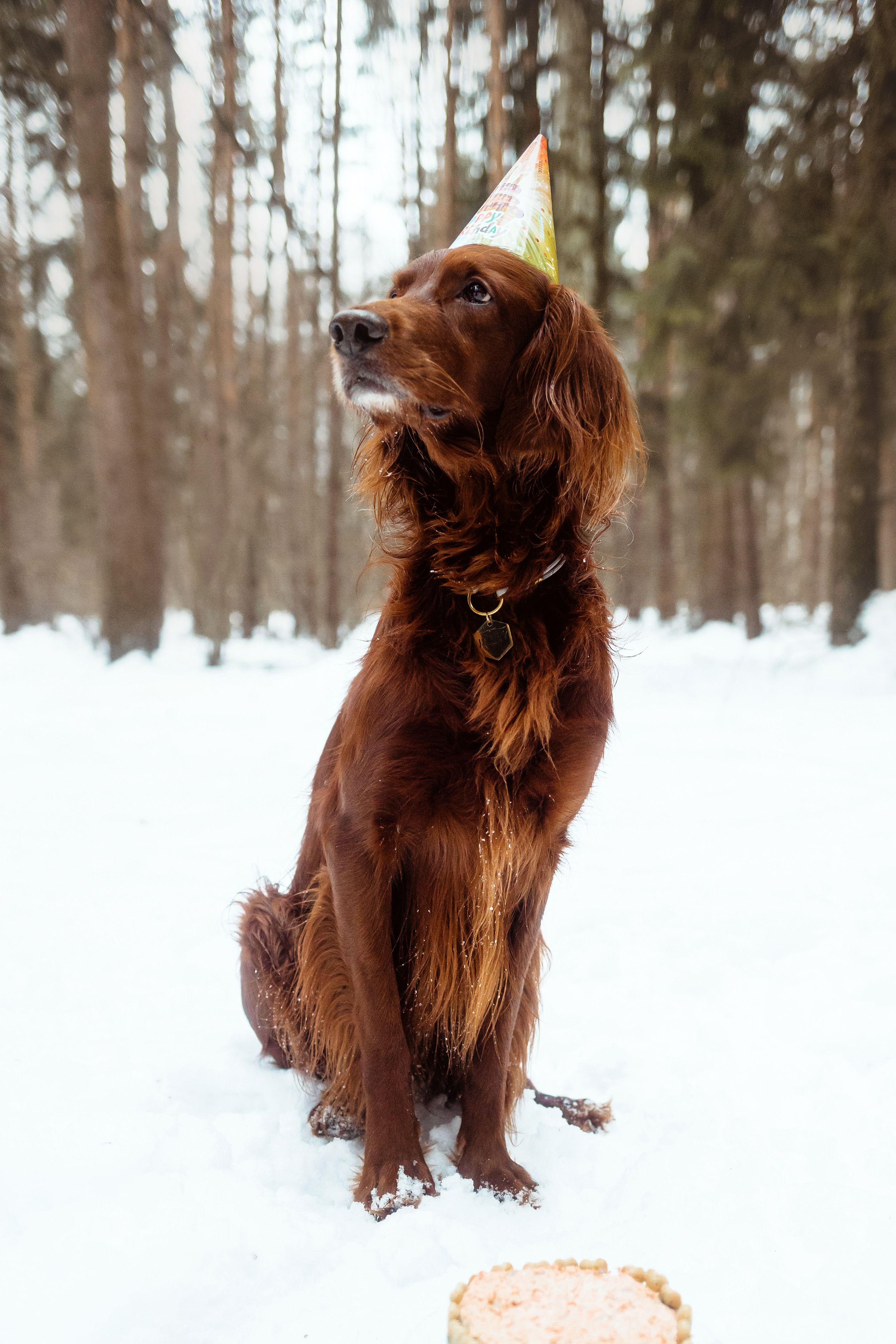 День Рождения Джерри