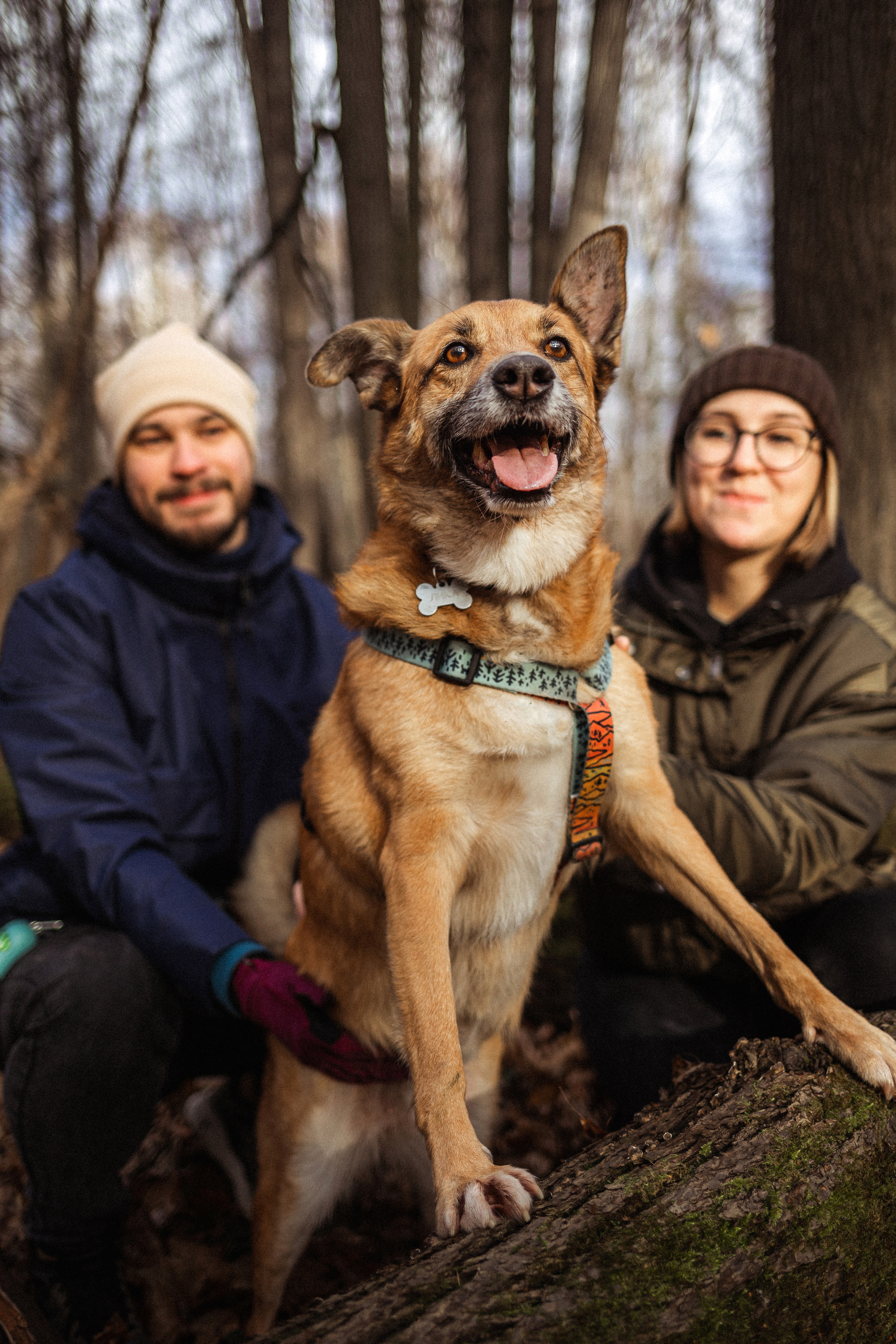 Лика и ее семья