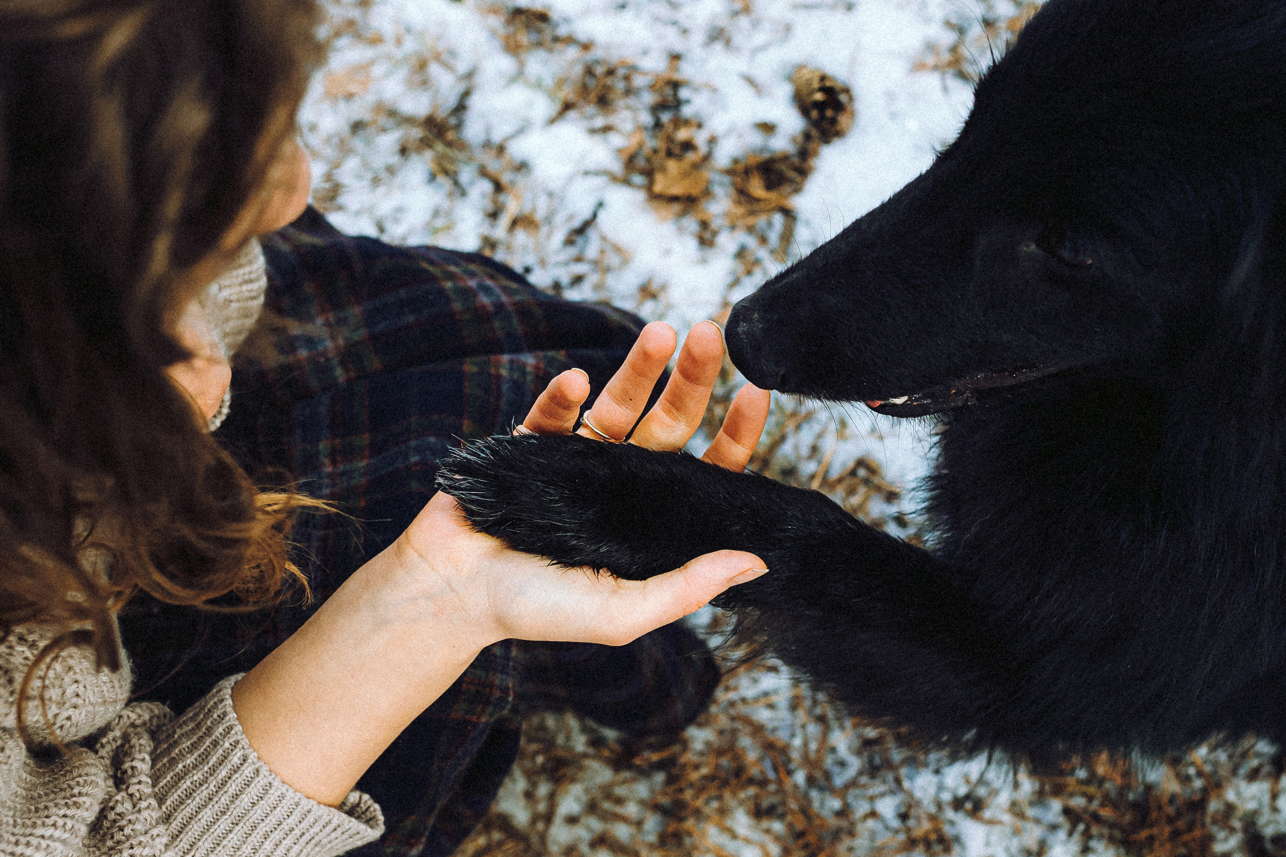 Настя и Сага