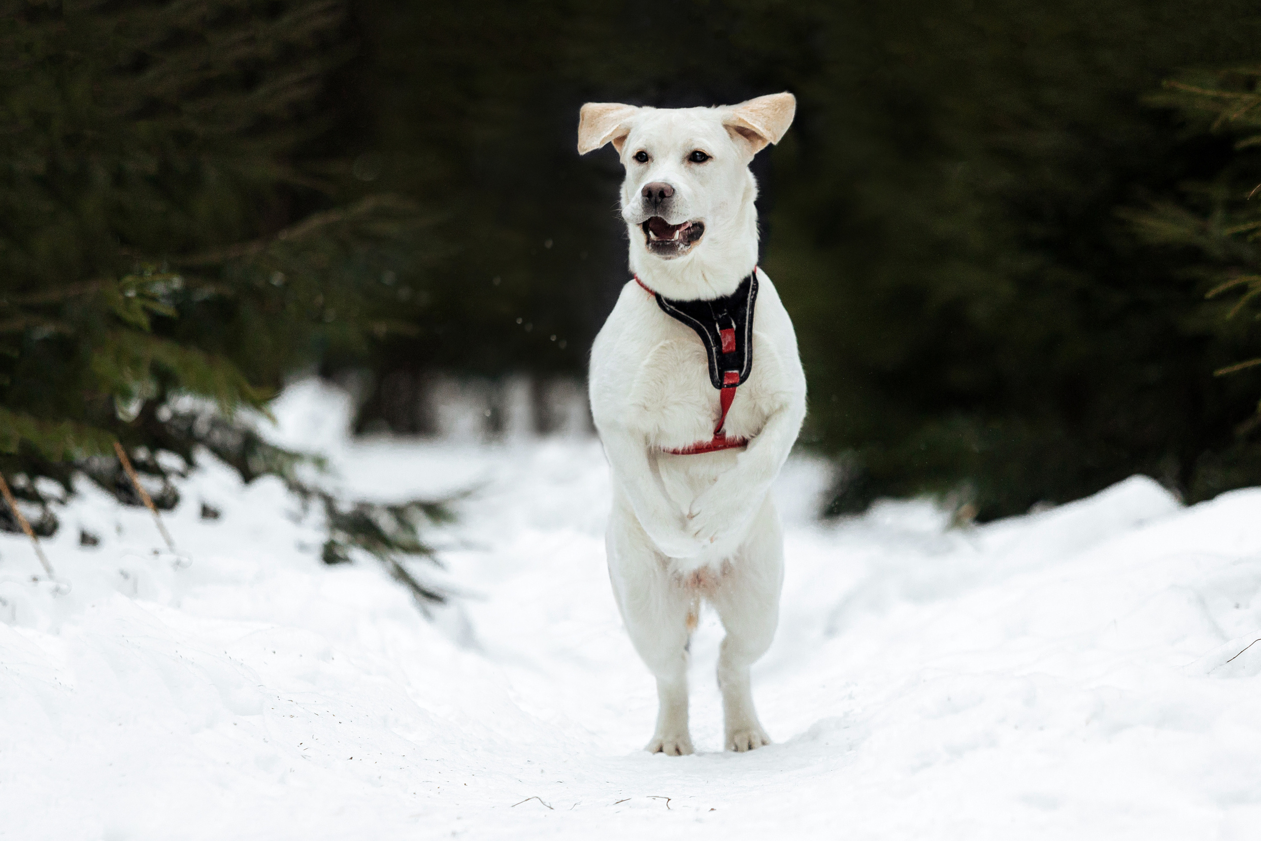 Челси и ее семья