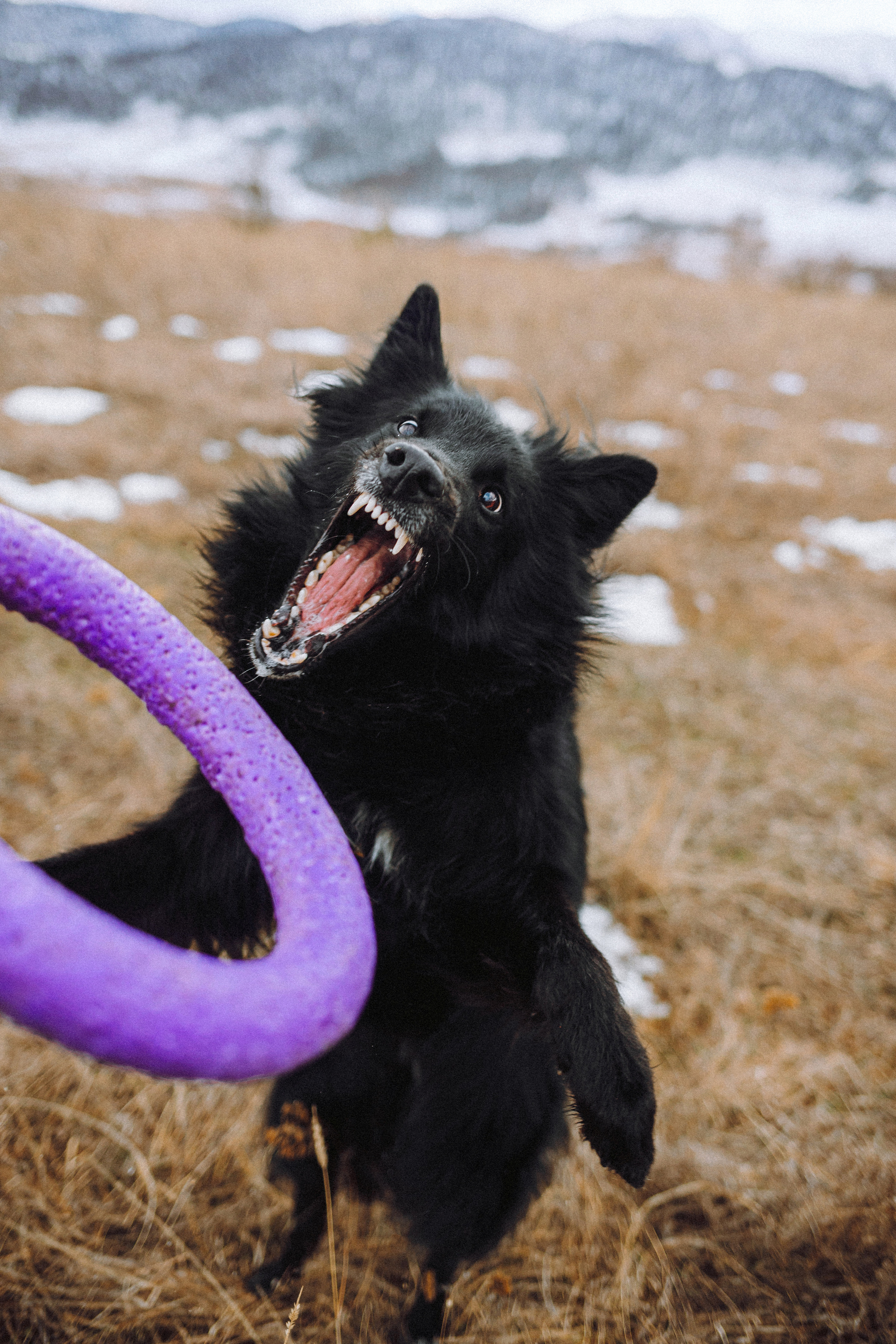 Настя и Сага