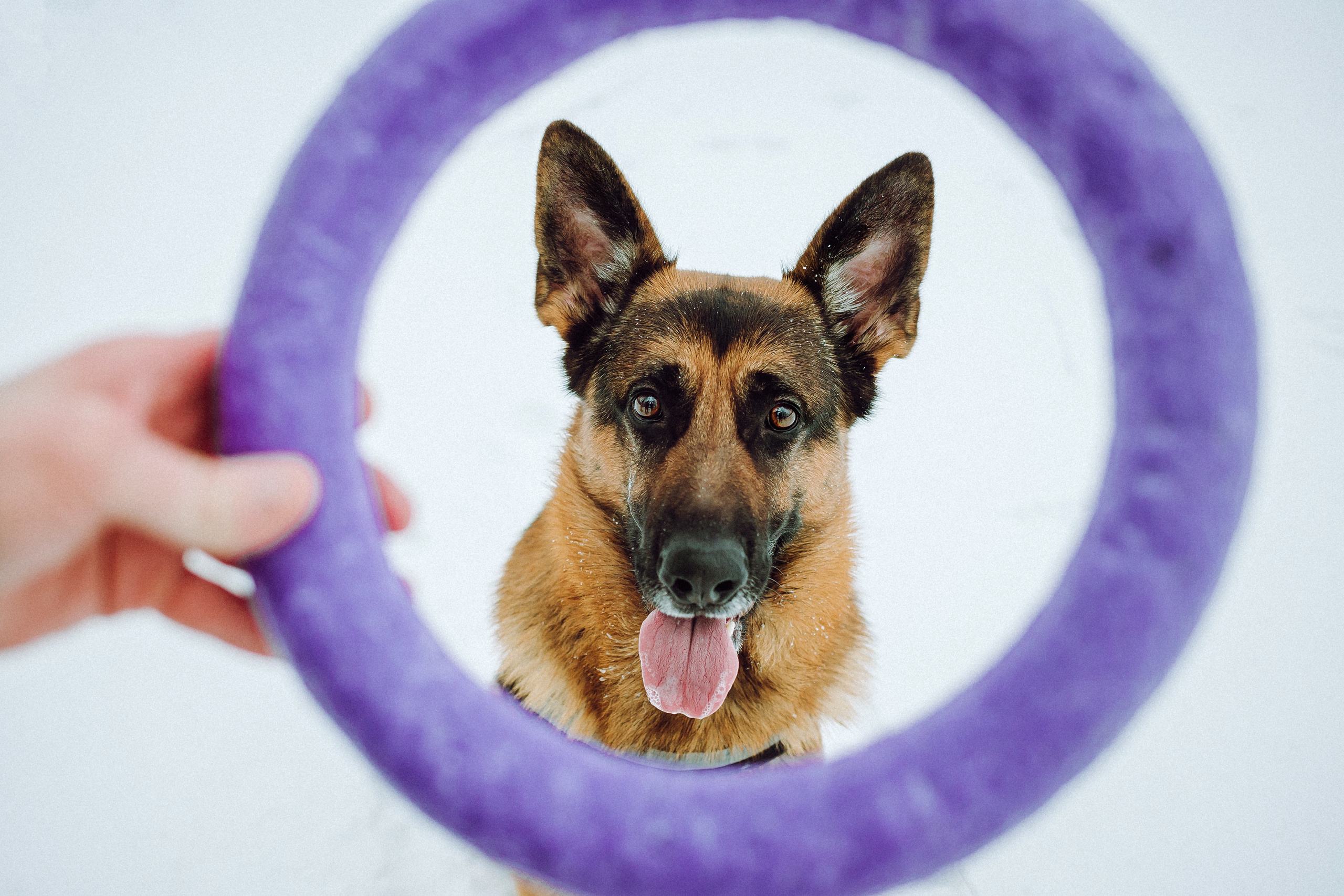 Джим, Лила и их семья