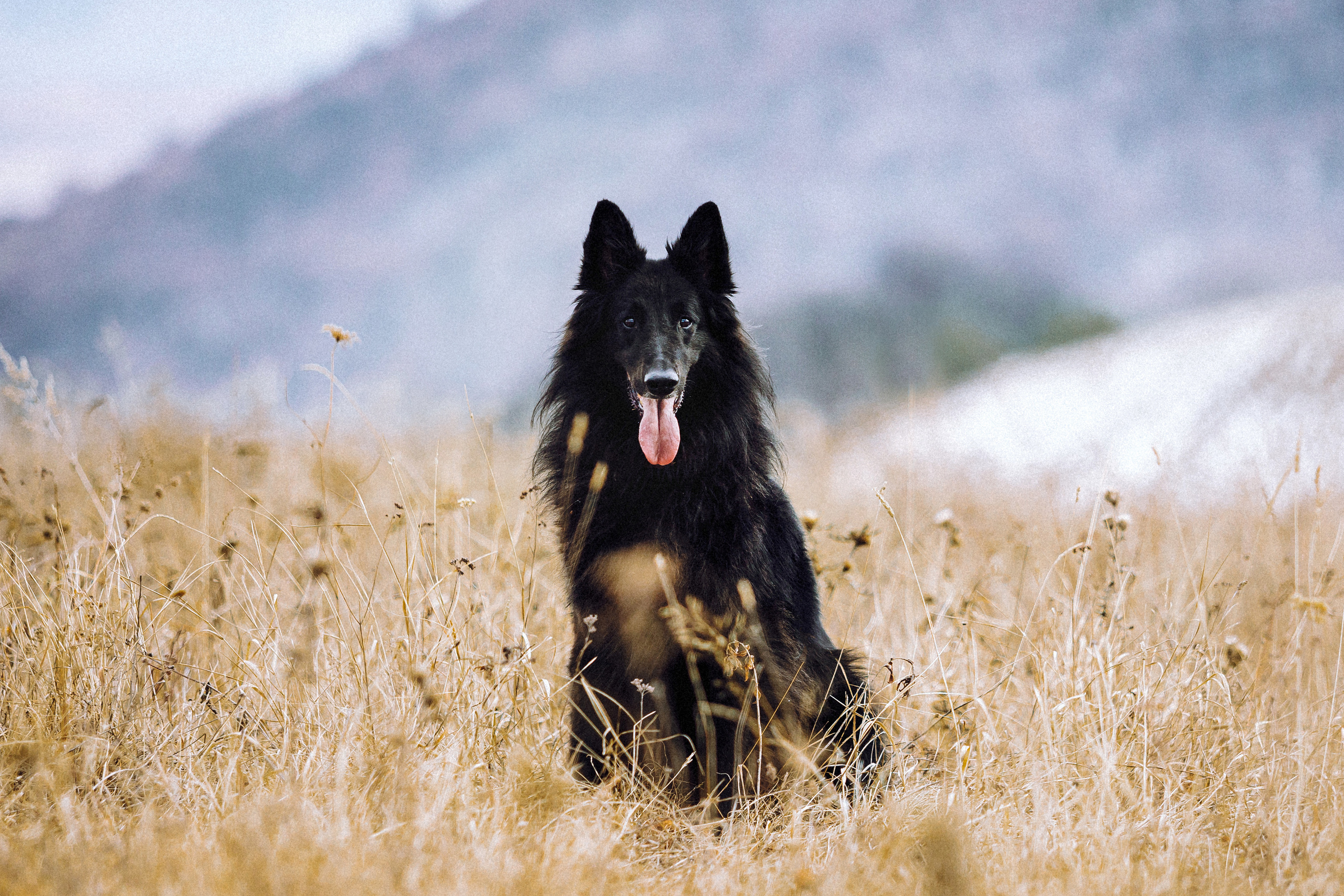 Йаррхи, Антар и их семья