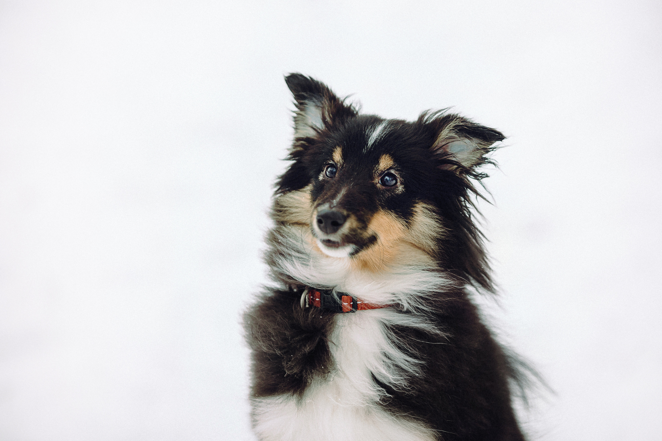 Джим, Лила и их семья