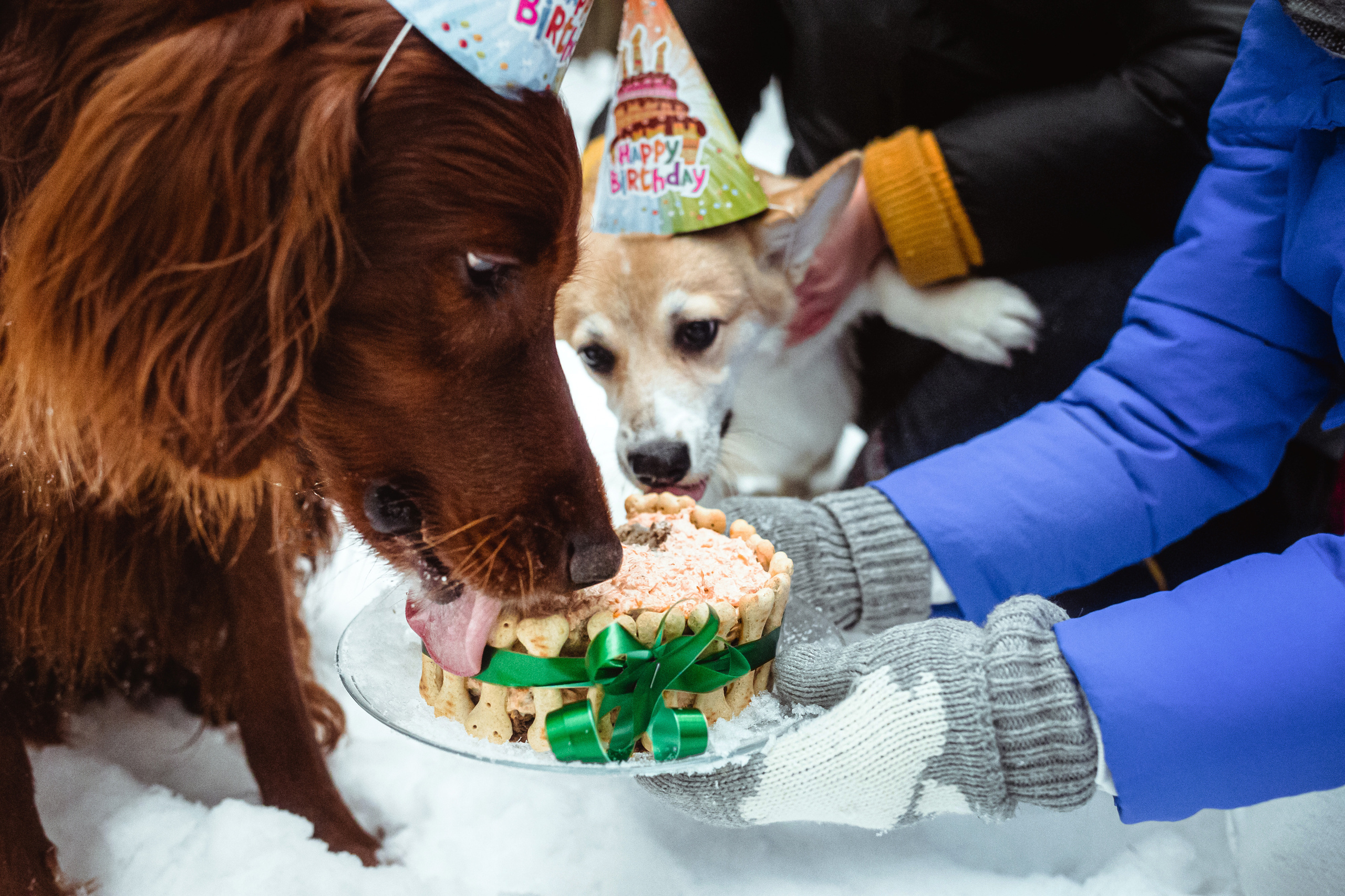 День Рождения Джерри