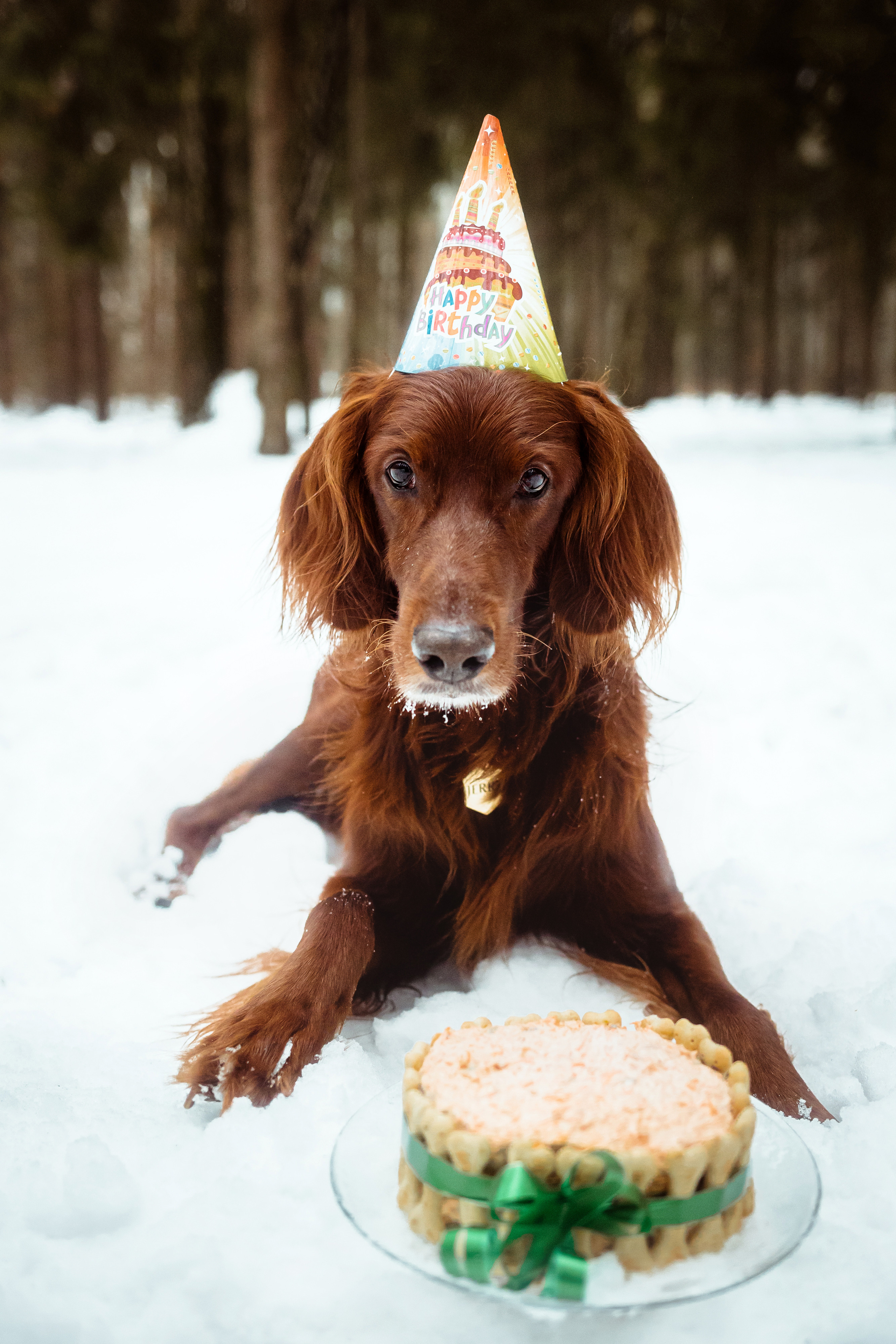 День Рождения Джерри