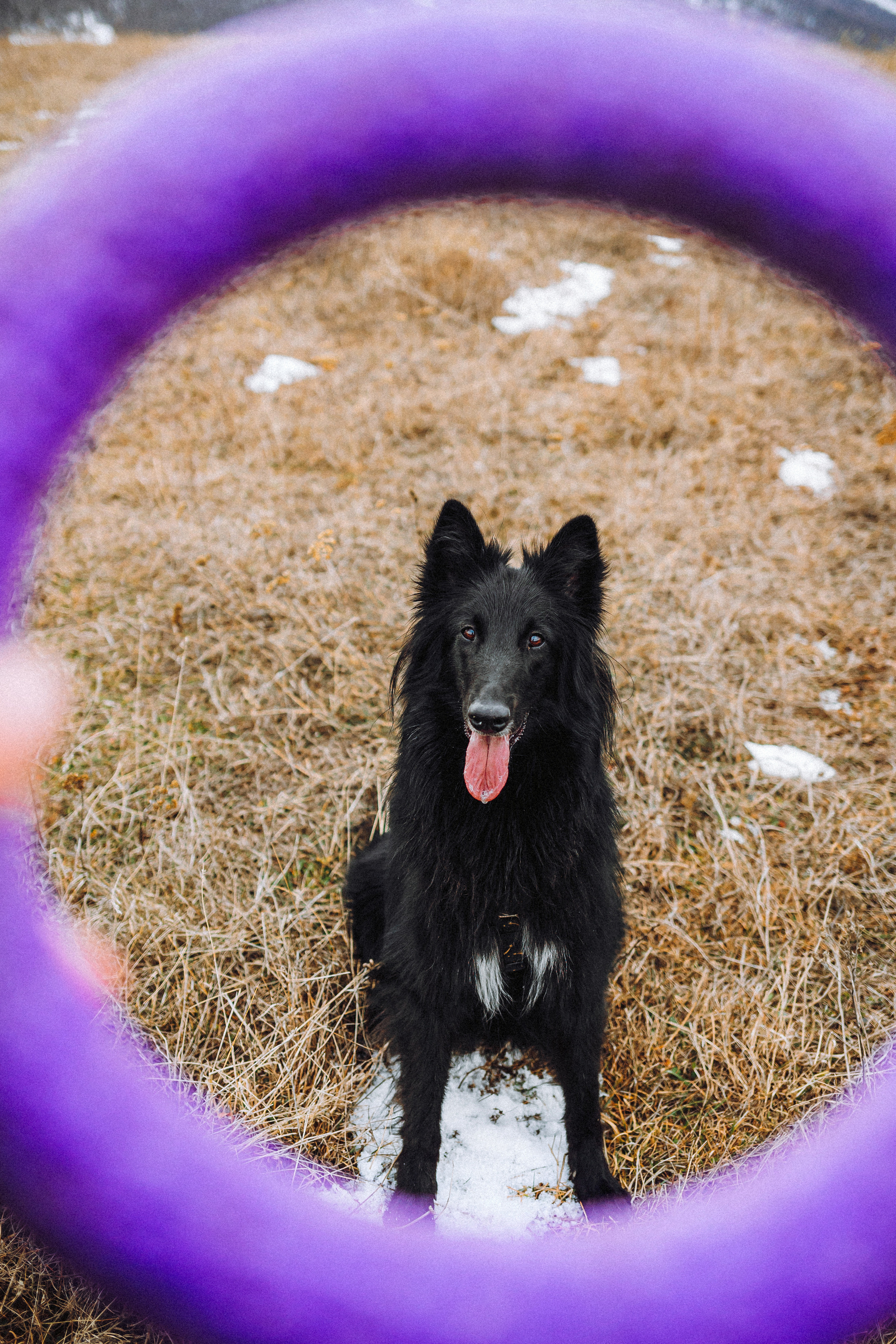 Настя и Сага