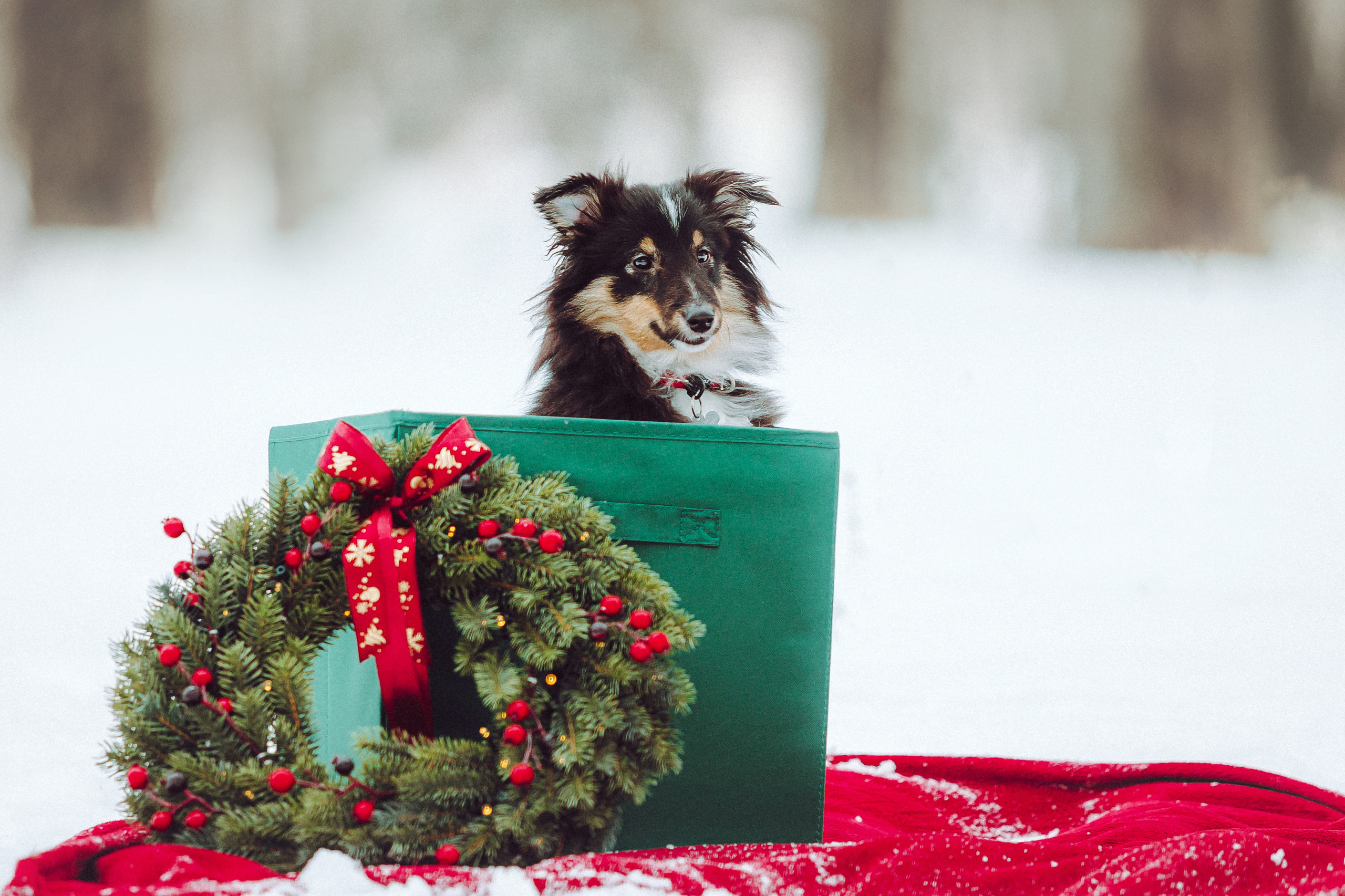 Джим, Лила и их семья